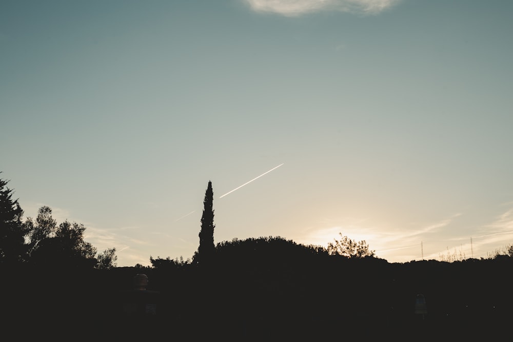 the sun is setting behind a silhouette of trees