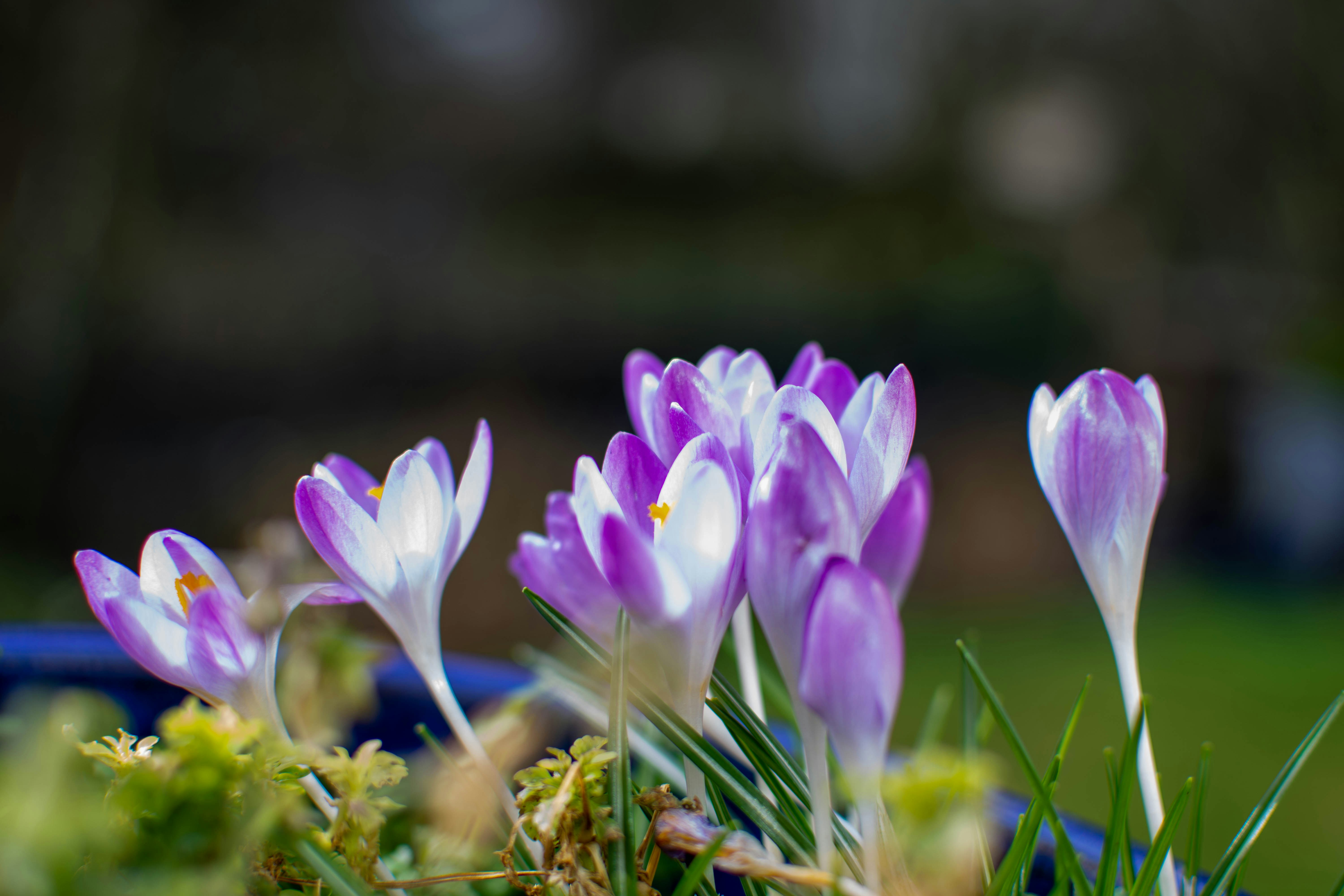 Photo by maplerockdesign