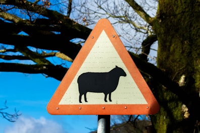 a street sign with a picture of a sheep on it