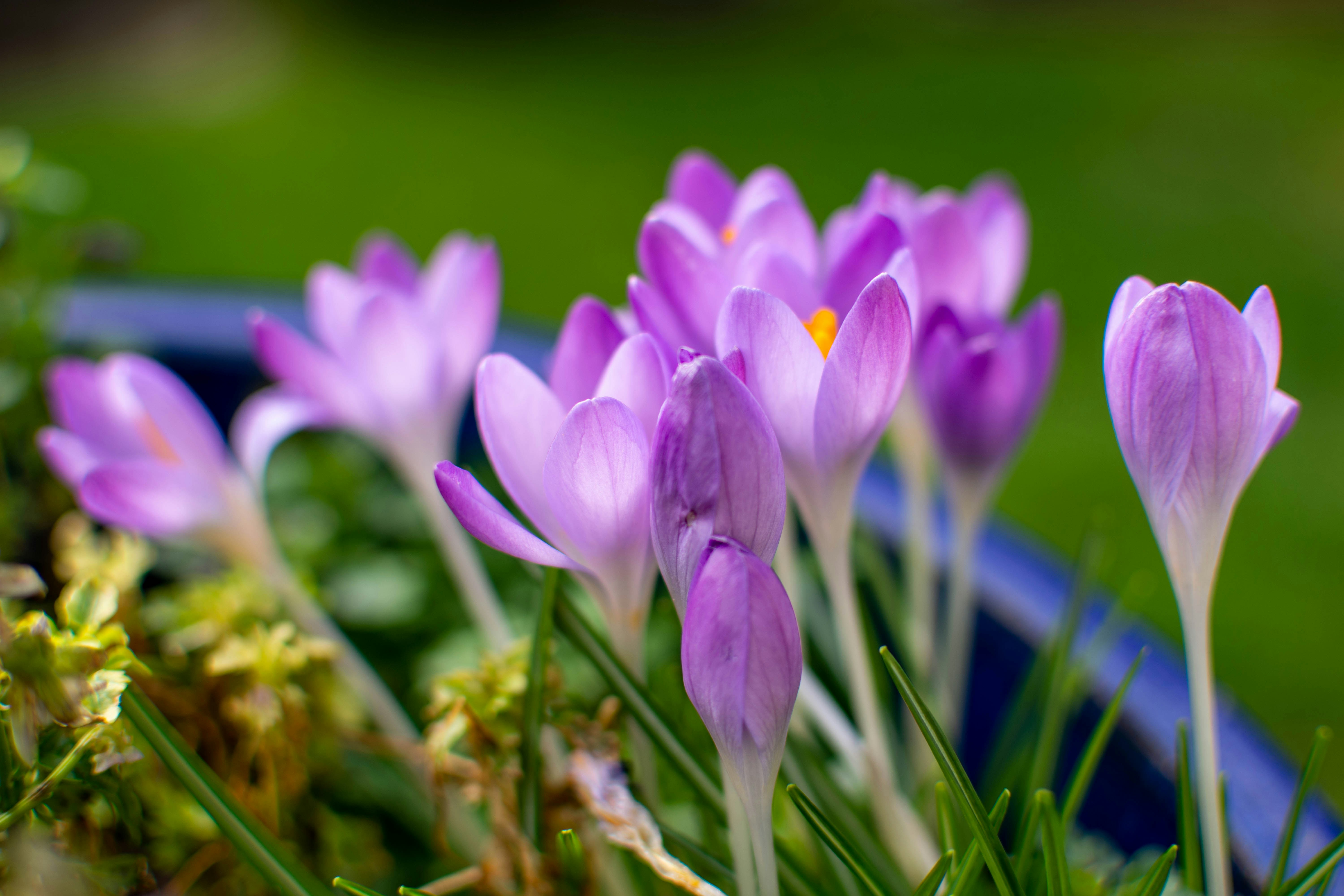 Photo by maplerockdesign