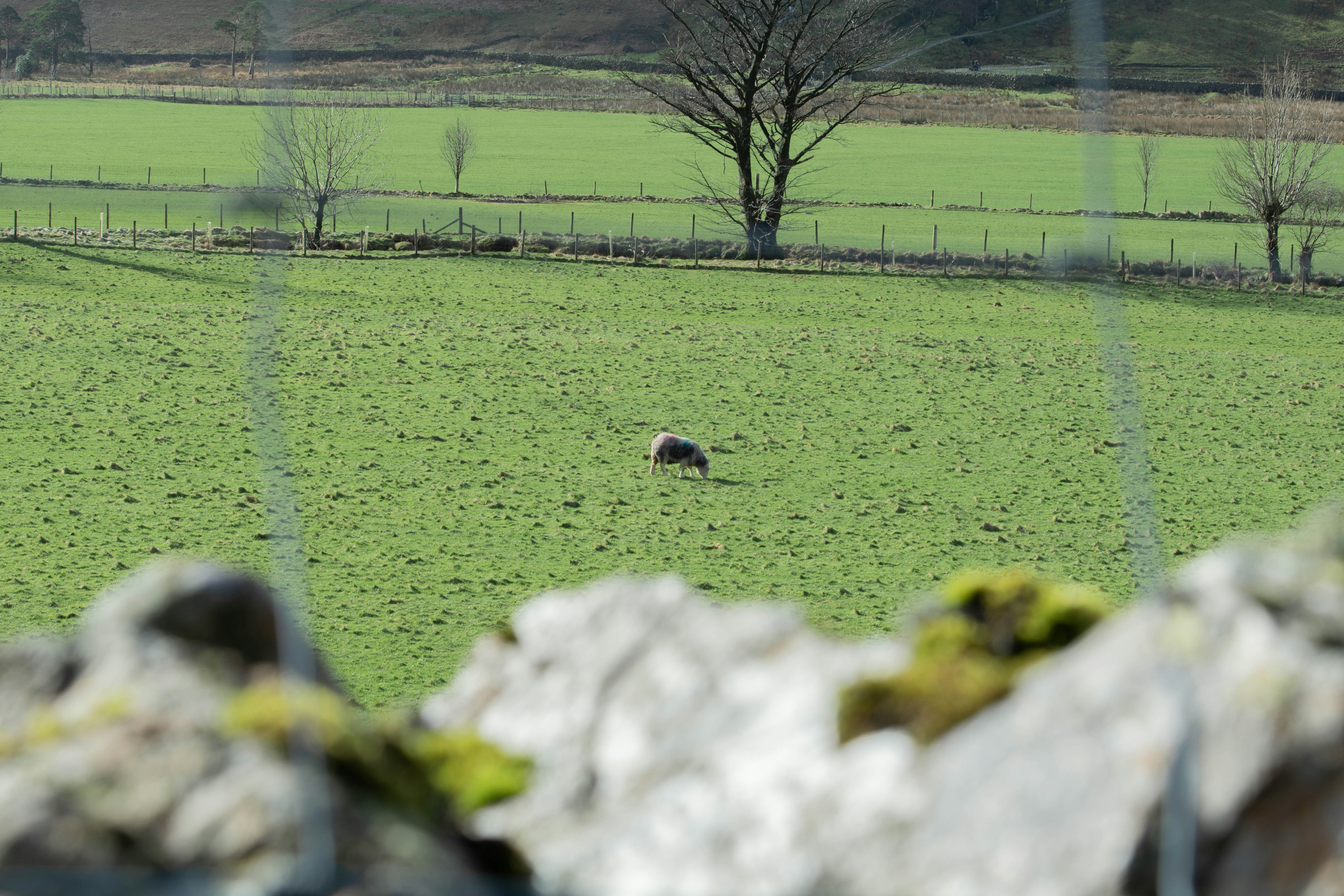 Photo by maplerockdesign