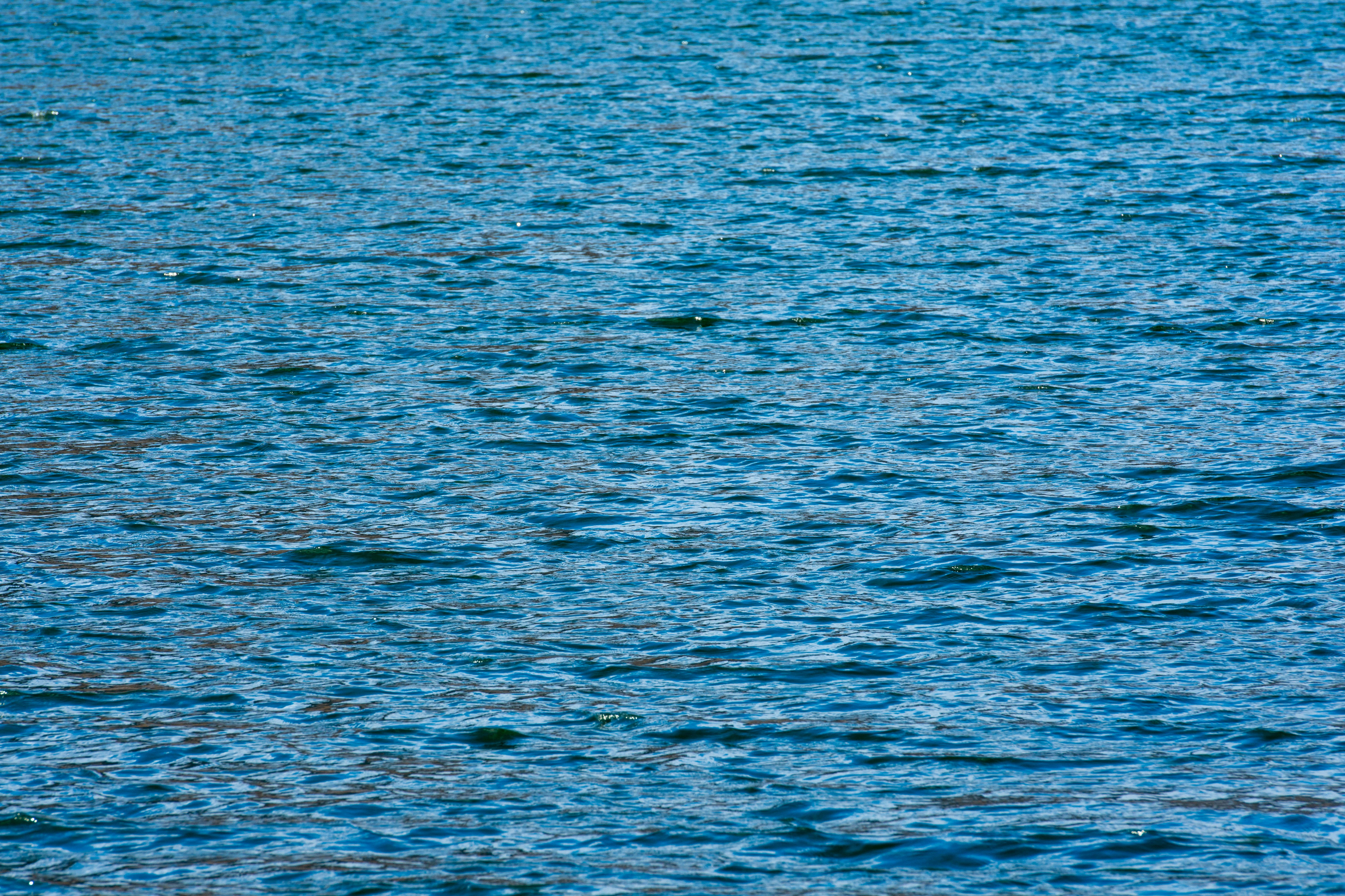 Photo by maplerockdesign