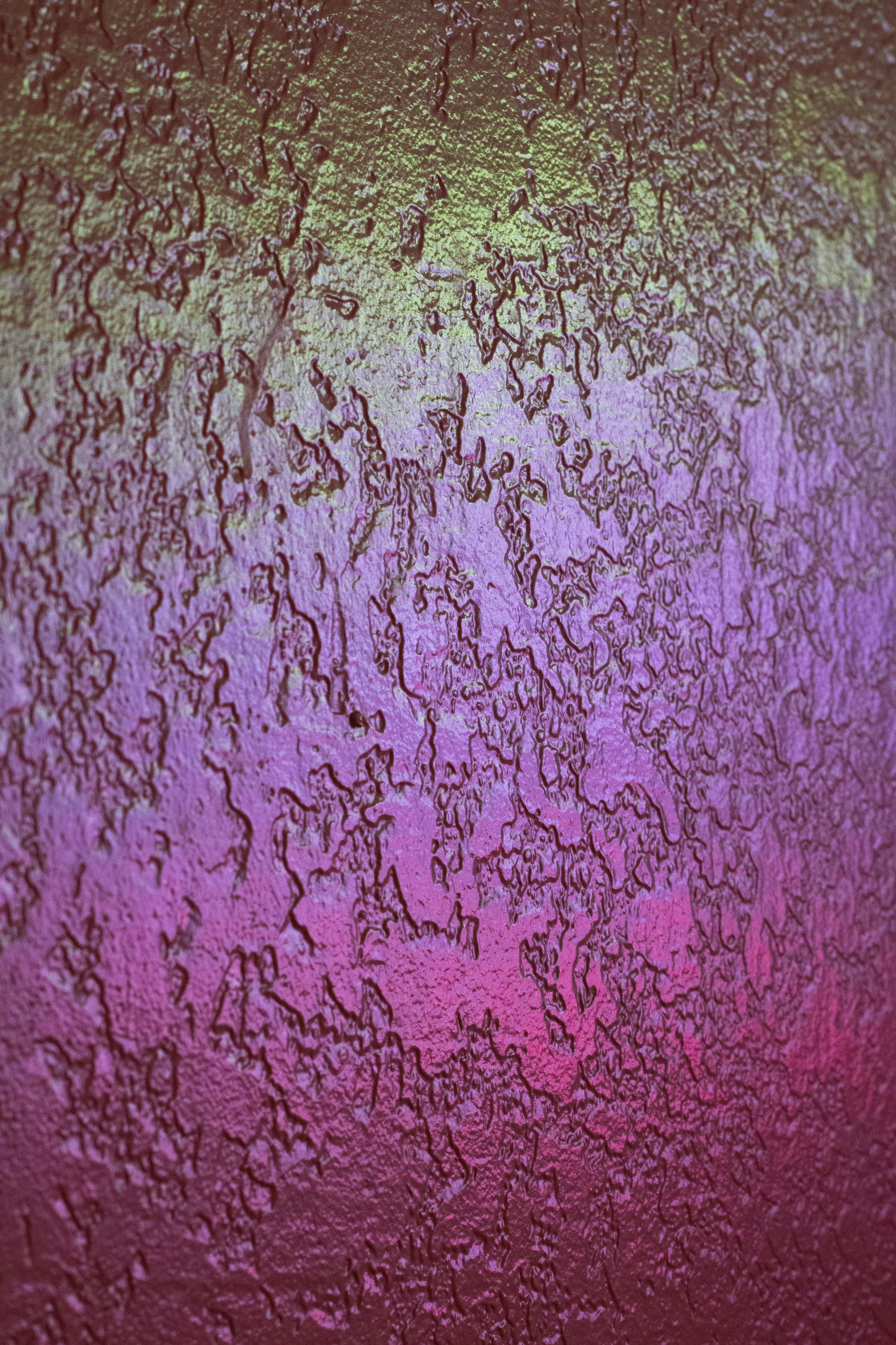 Photo by luisjlara343