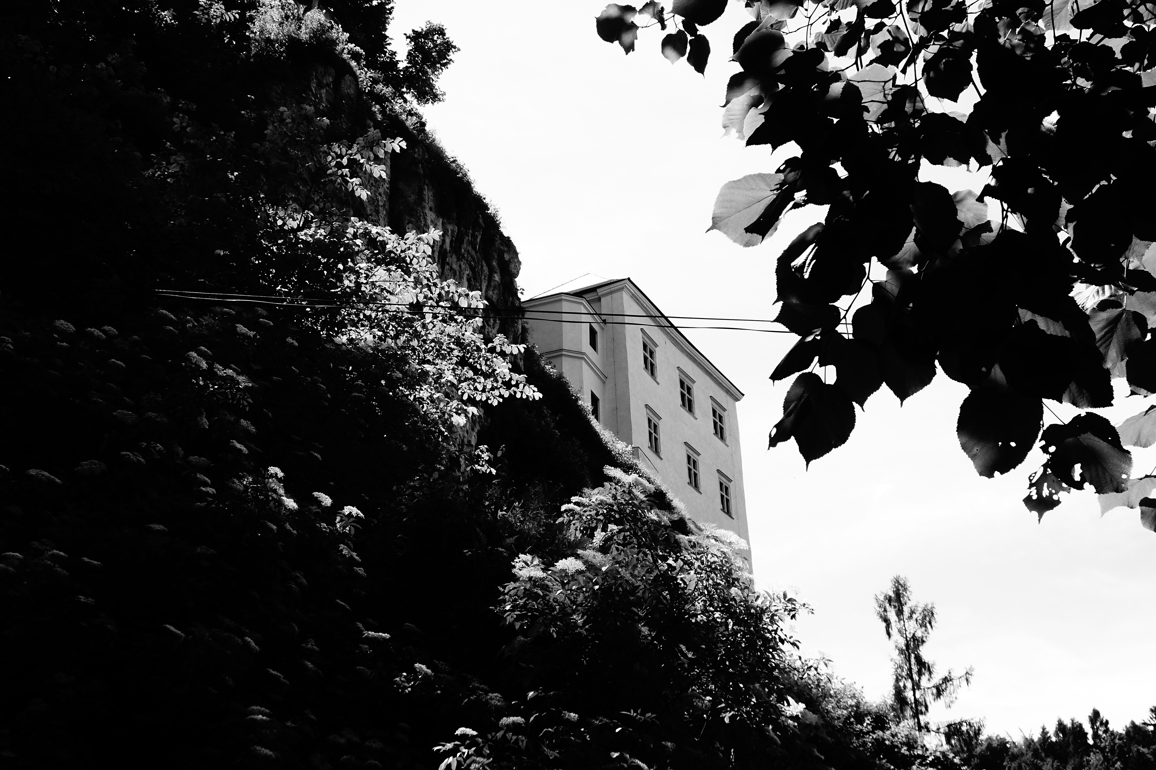 Photo by 12photography