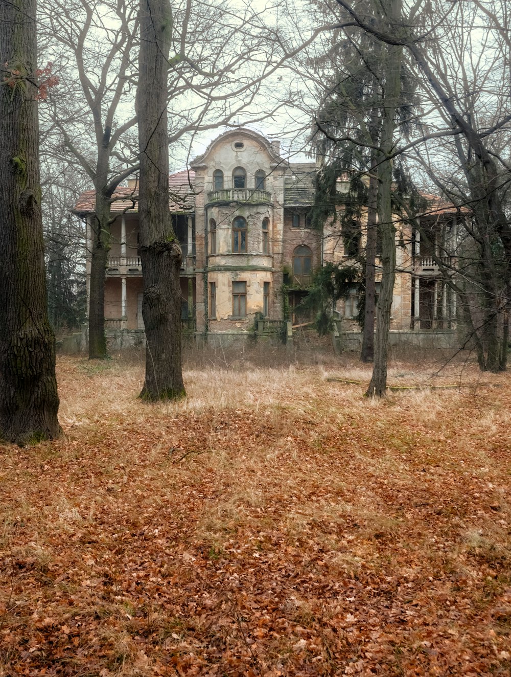 a large house in the middle of a forest