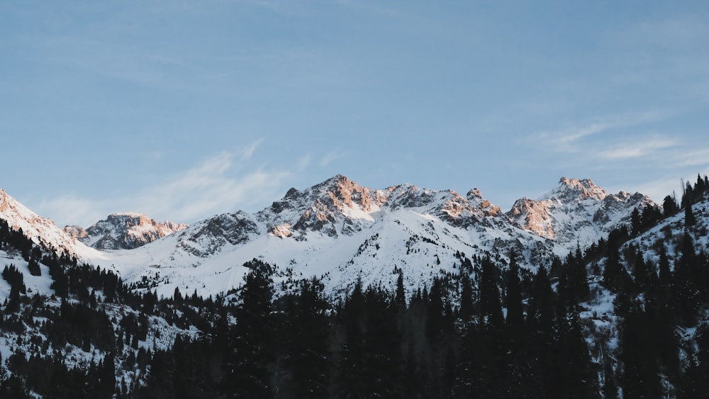 a snow covered mountain with trees in the foreground