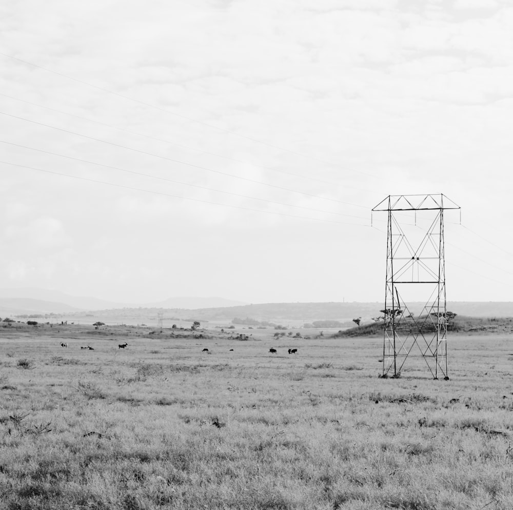 a black and white photo of a power line in the middle of a field