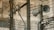 A complex network of electrical wires and equipment mounted on utility poles. Large loudspeakers are attached to the poles, along with various insulators and switches. The background features a weathered concrete wall, adding an industrial feel to the scene.