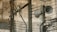 A complex network of electrical wires and equipment mounted on utility poles. Large loudspeakers are attached to the poles, along with various insulators and switches. The background features a weathered concrete wall, adding an industrial feel to the scene.