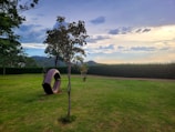 A serene landscape with a well-maintained lawn and a unique metal sculpture that resembles a loop in the foreground. A single young tree grows nearby, and the background features a clear view of distant mountains under a cloudy sky. The scene is framed by lush green trees on the sides.