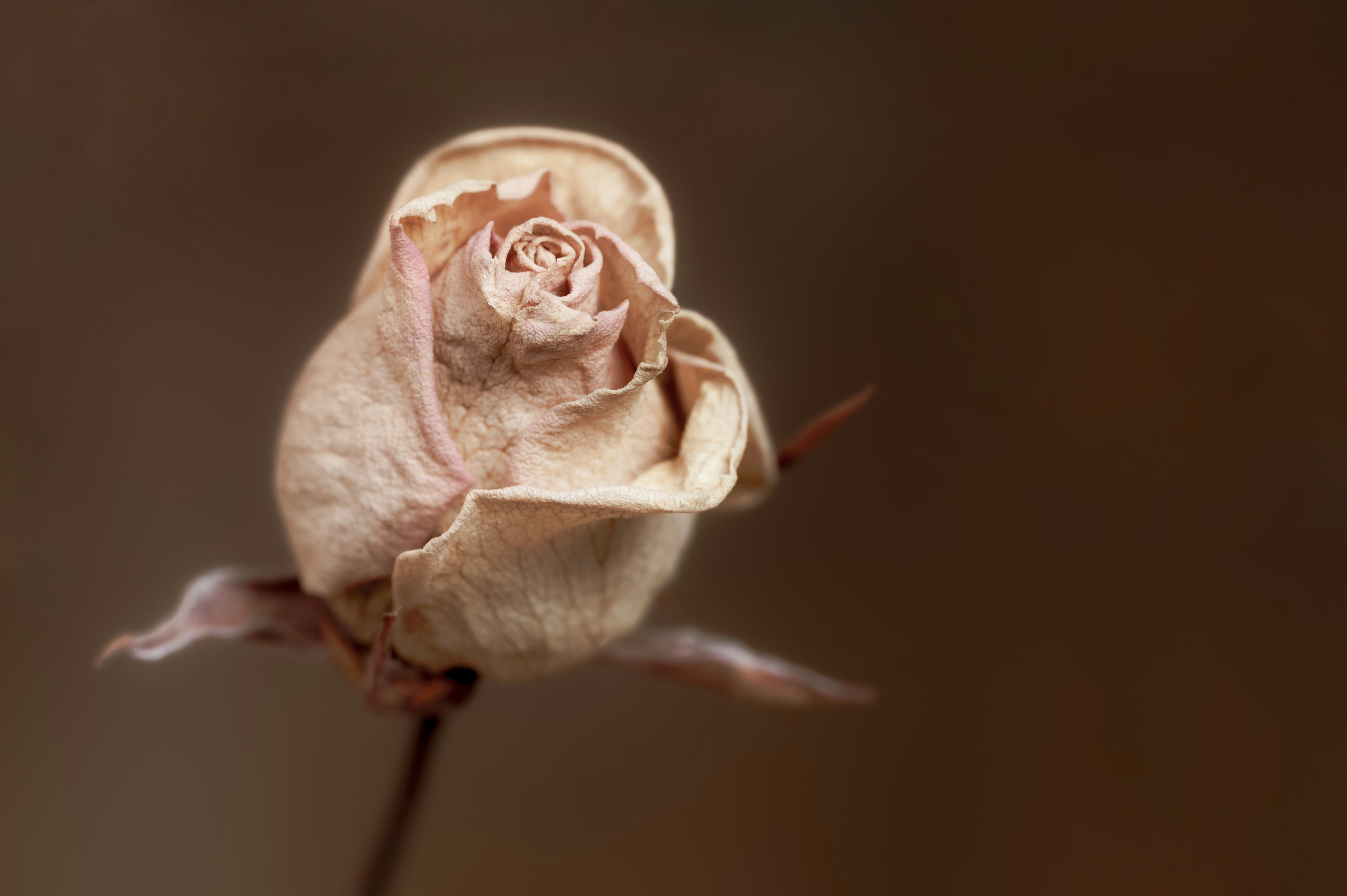 Photo by carrie_borden