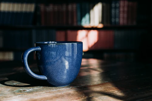 Moose coffee mug