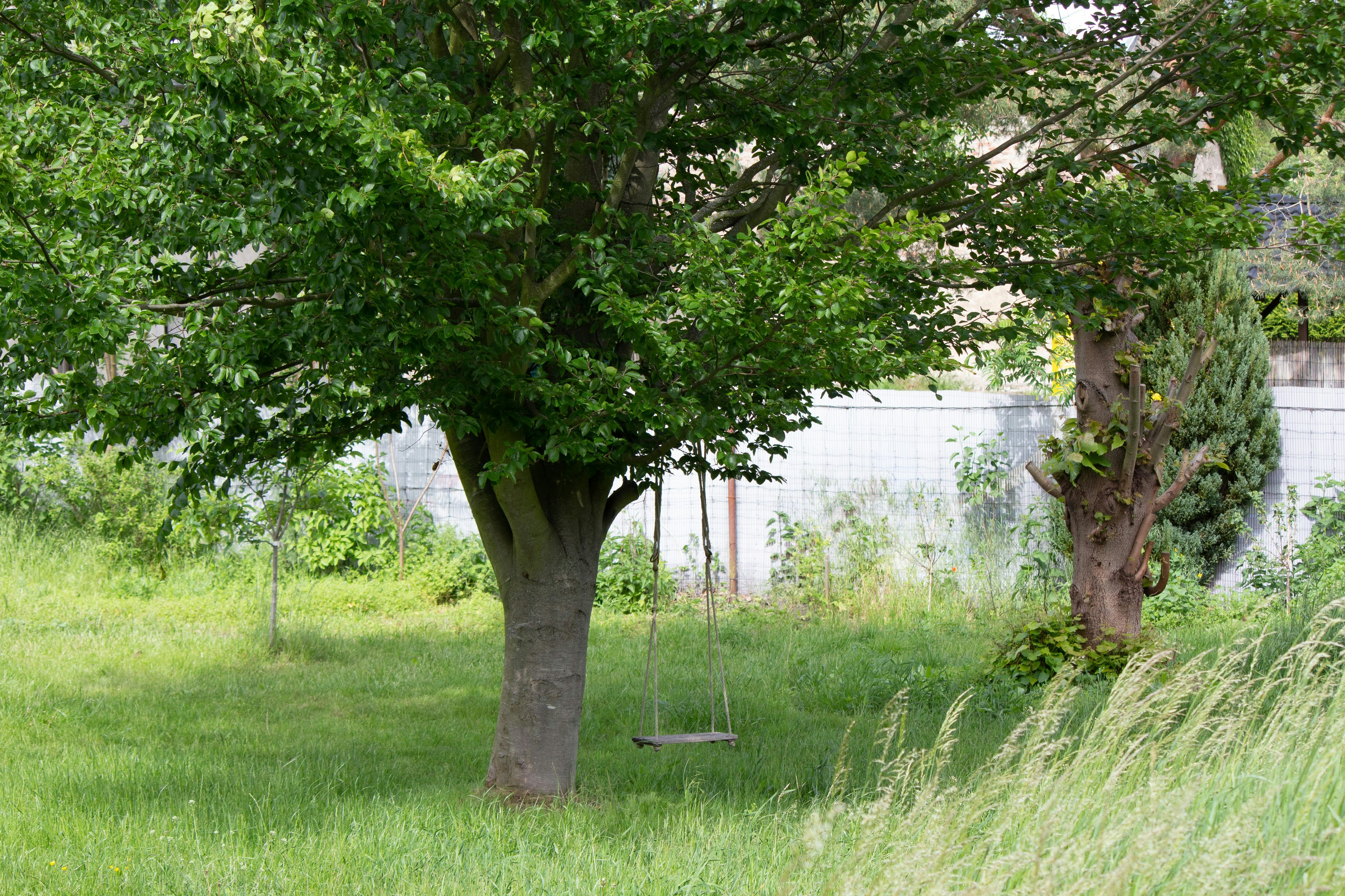 Photo by petrykowskim