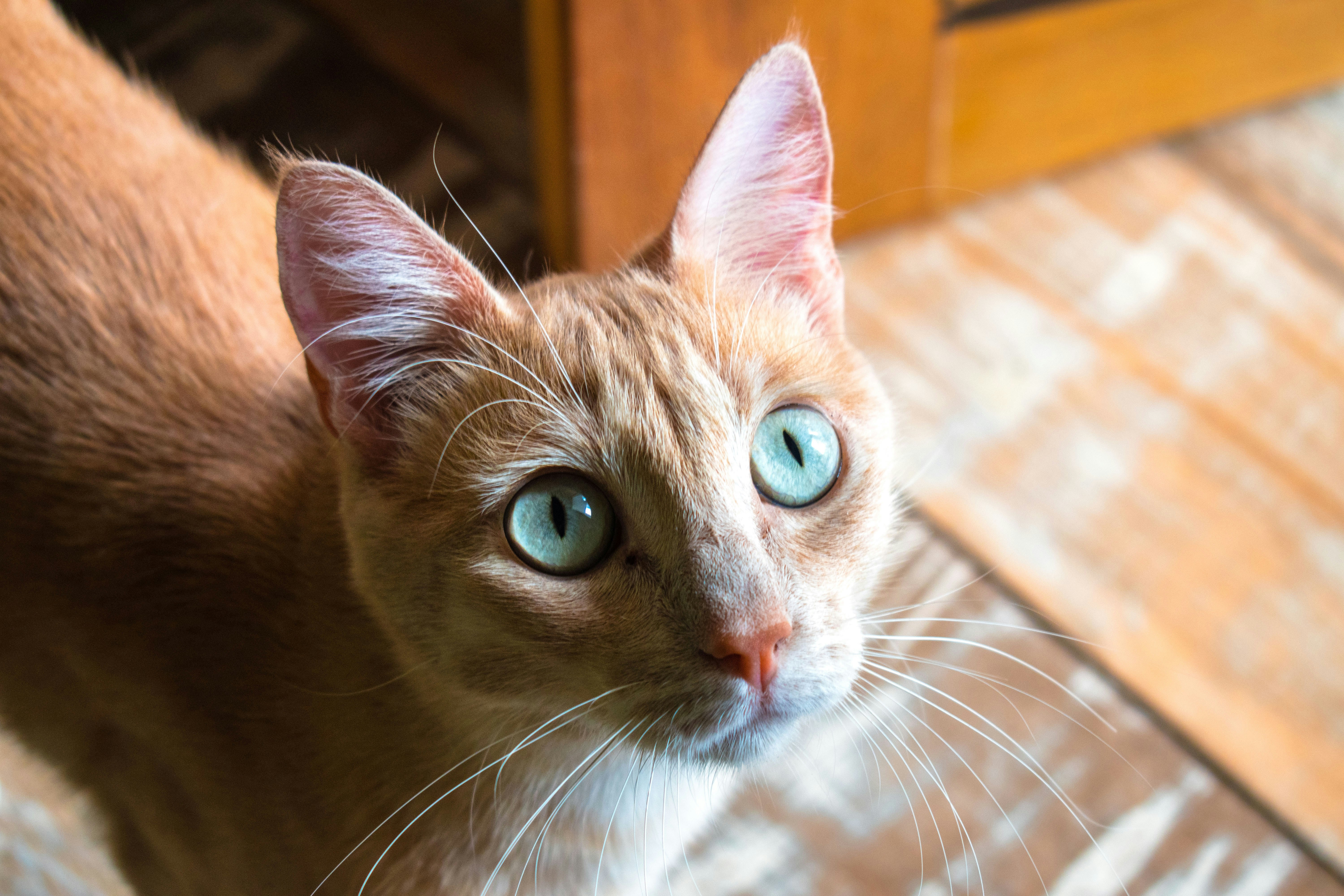 Photo by mateorojas7