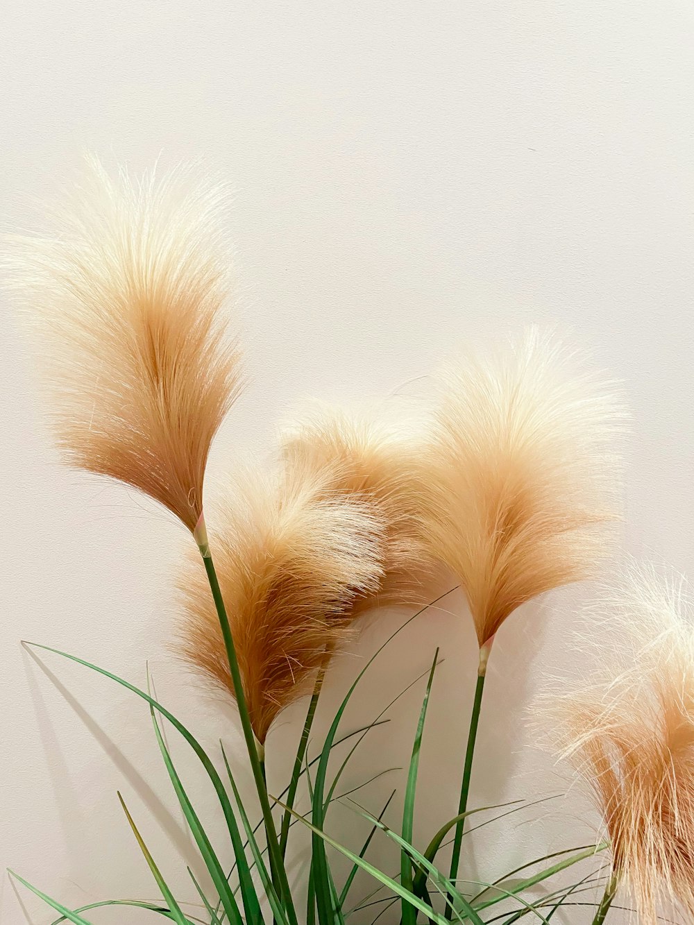 a potted plant with long brown hair on top of it