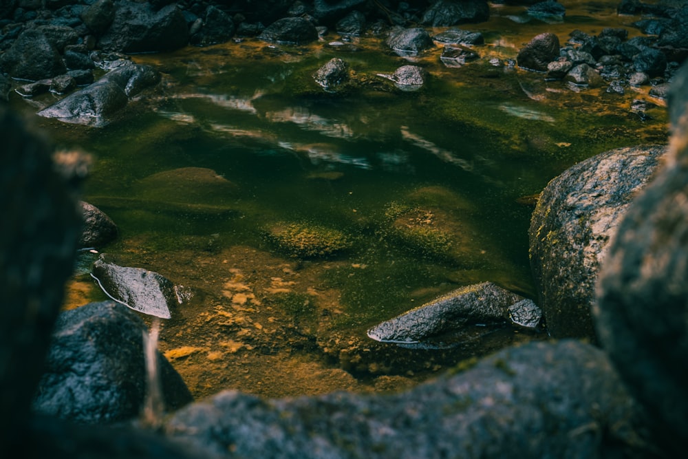 a stream of water surrounded by rocks and grass