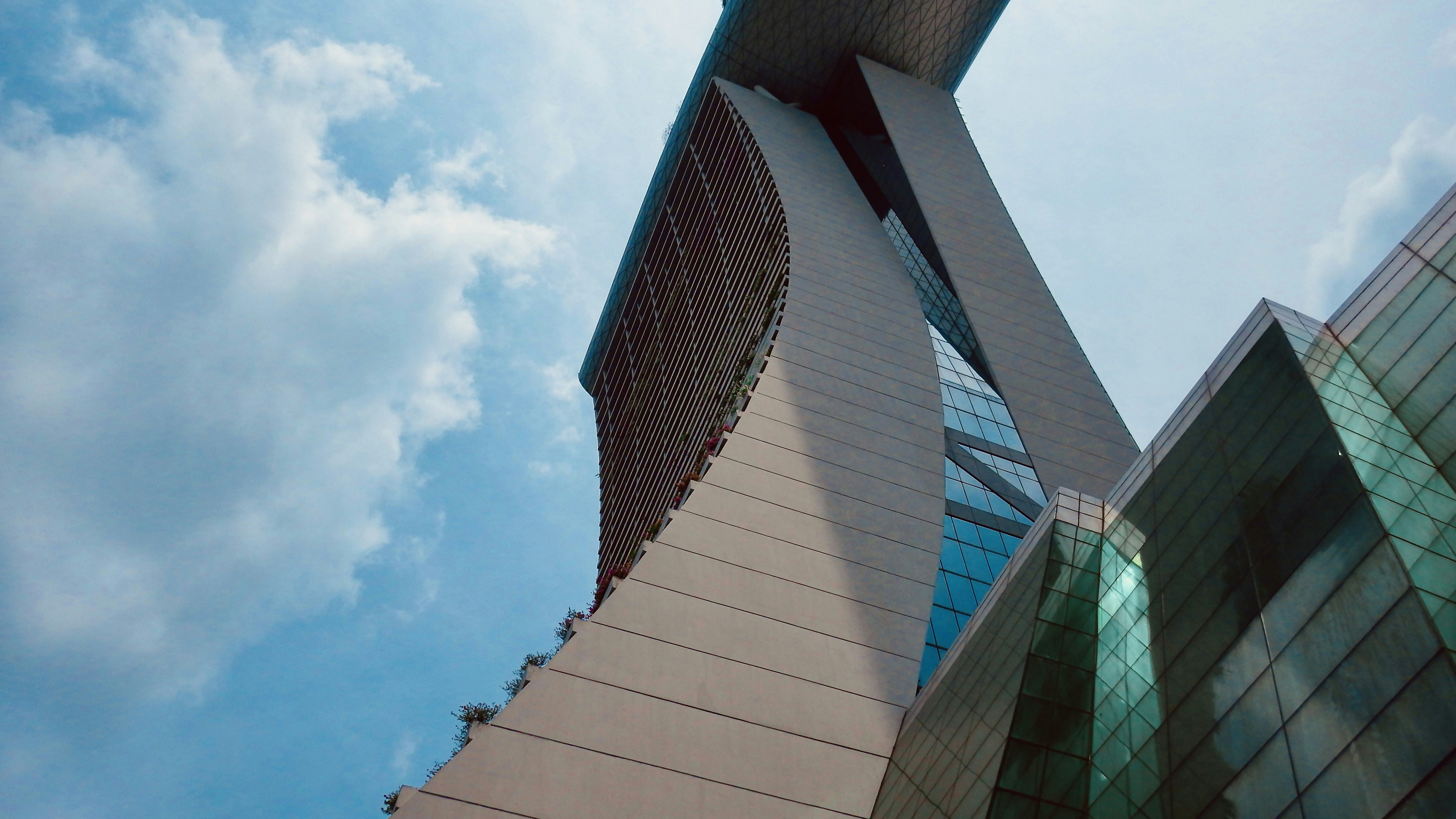 Photo by hiromasa_koga