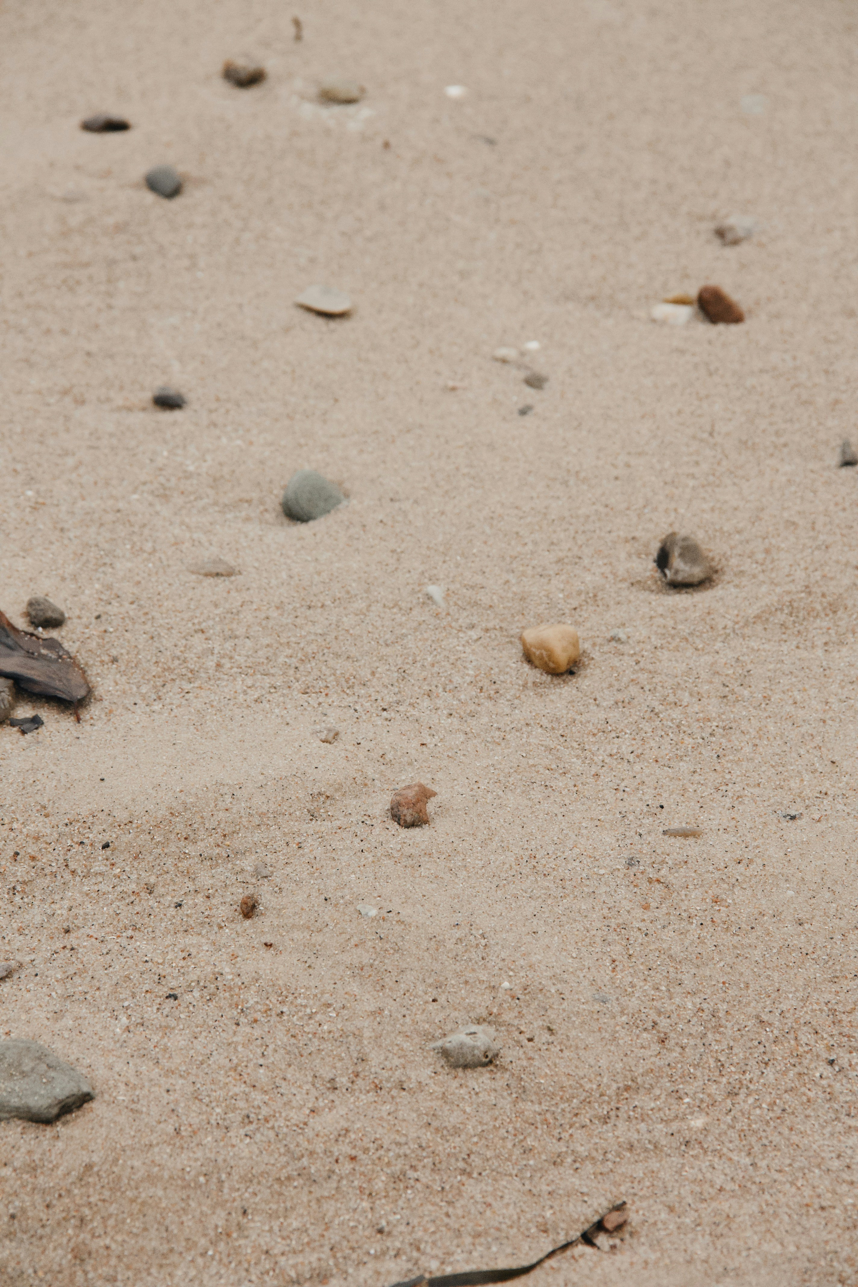 Photo by katharina_bill