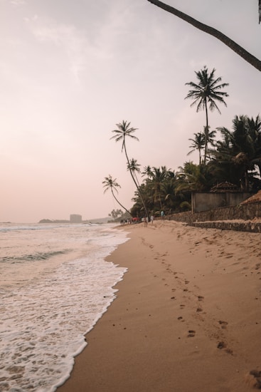 A serene beach scene with gentle waves washing onto the sandy shore. Tall palm trees line the beach, swaying slightly in the warm breeze. Footprints are visible in the sand, leading towards a group of people in the distance. The sky is tinged with soft pastel hues, suggesting either sunrise or sunset, creating a tranquil and soothing atmosphere.