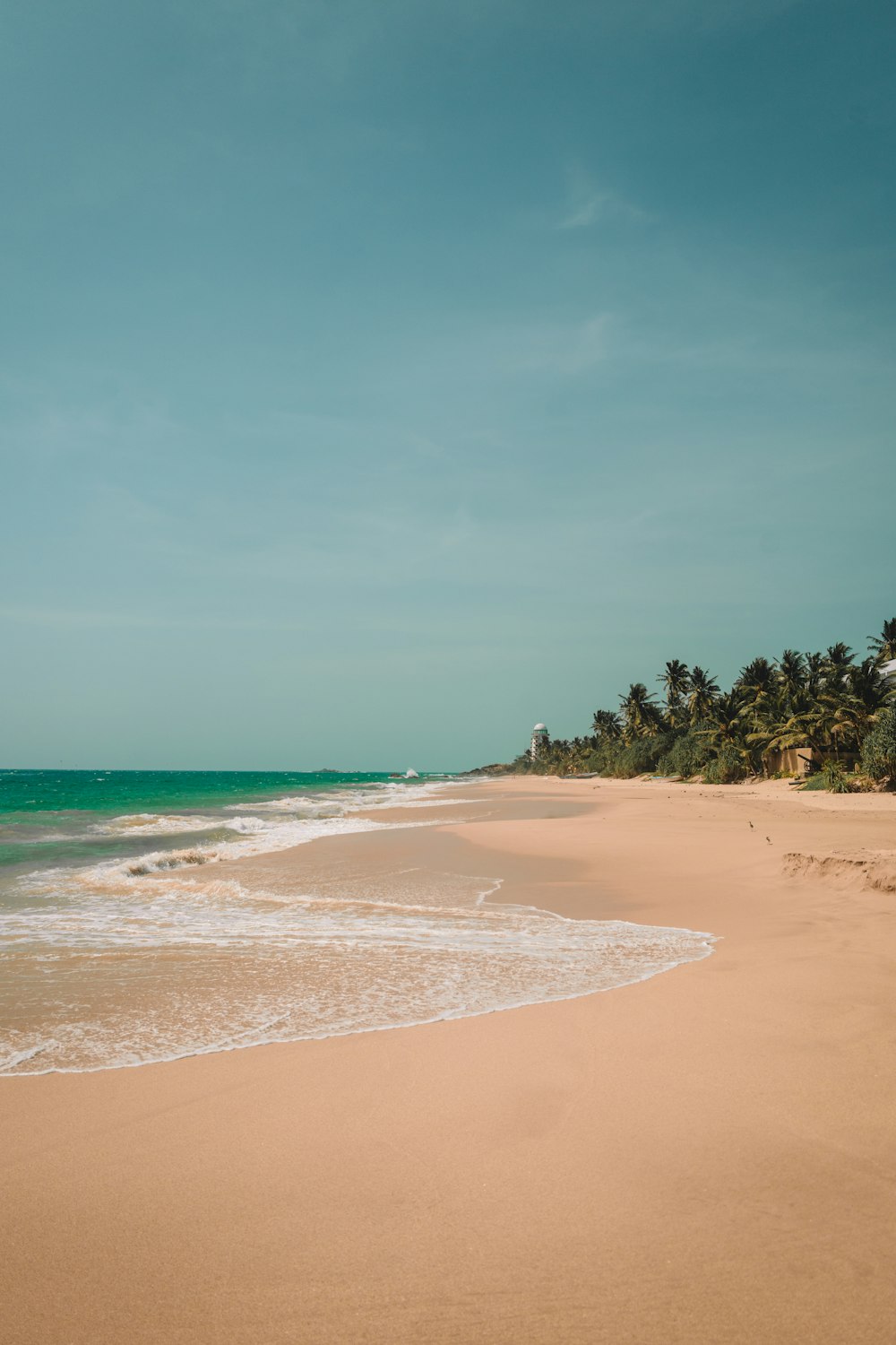 Une plage de sable au bord de l’océan avec des palmiers