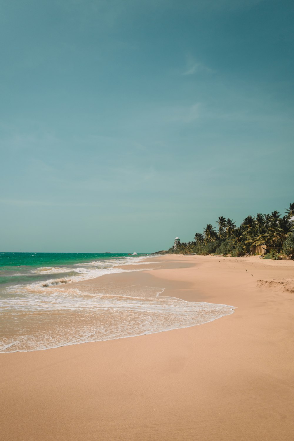 a sandy beach next to the ocean with palm trees