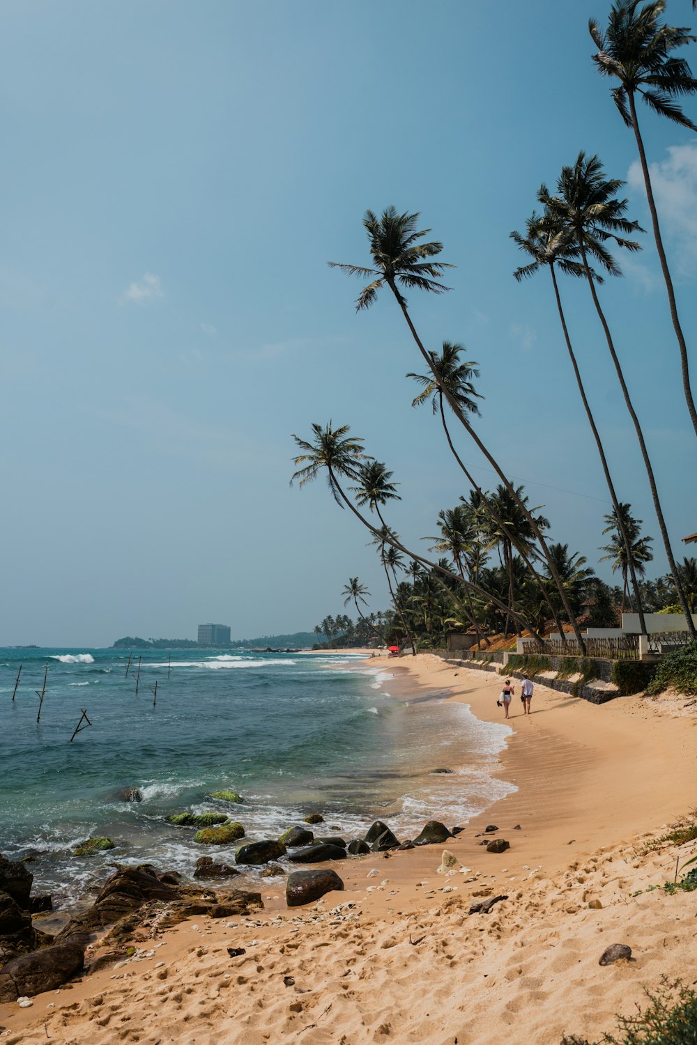 a beach with palm trees and people walking on it