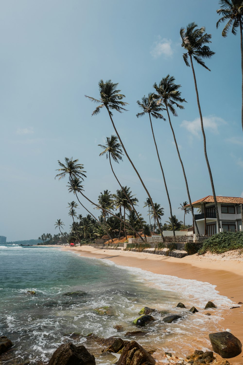 a sandy beach with palm trees and a house in the background