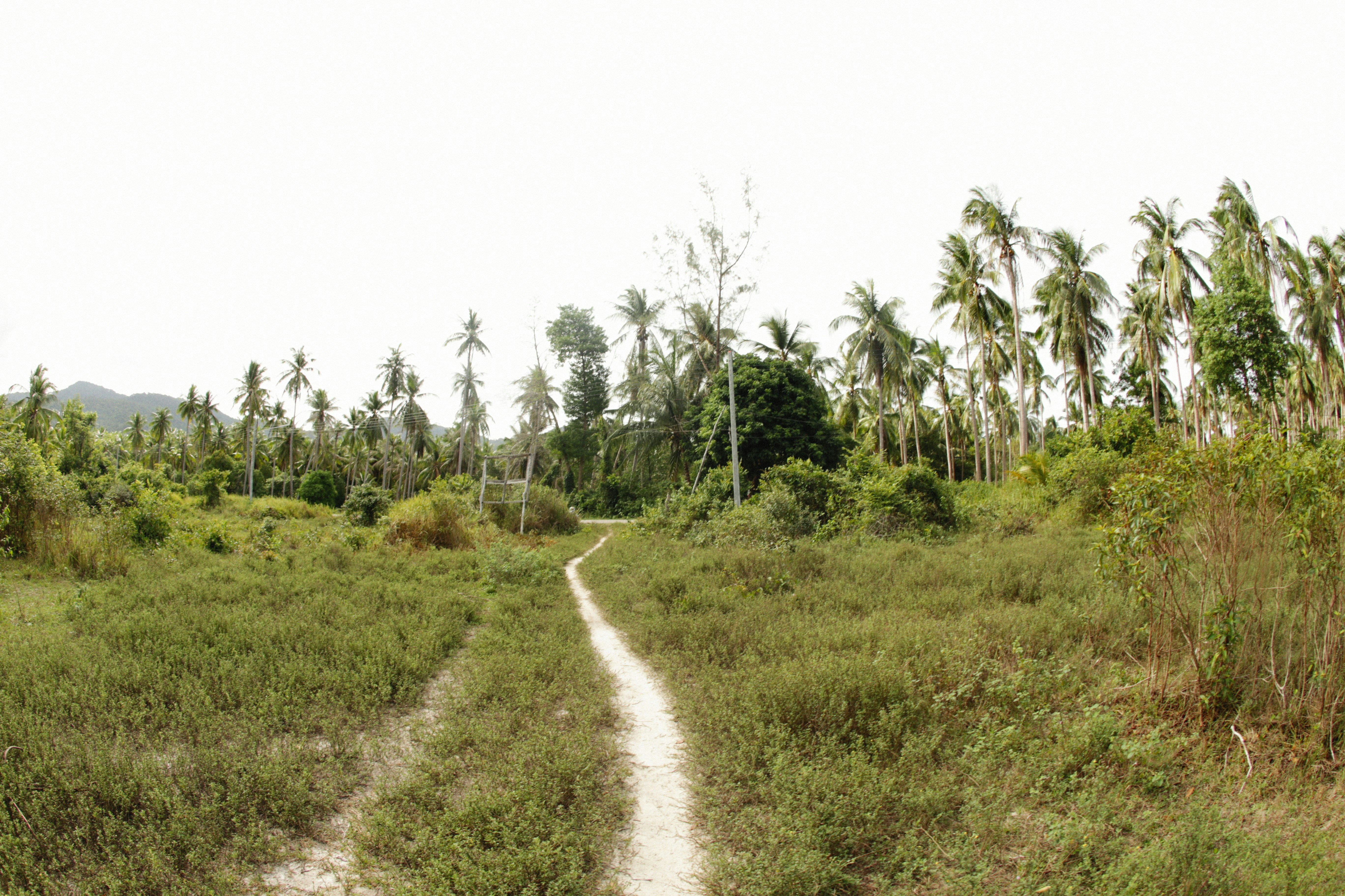 Photo by alexeydemidov