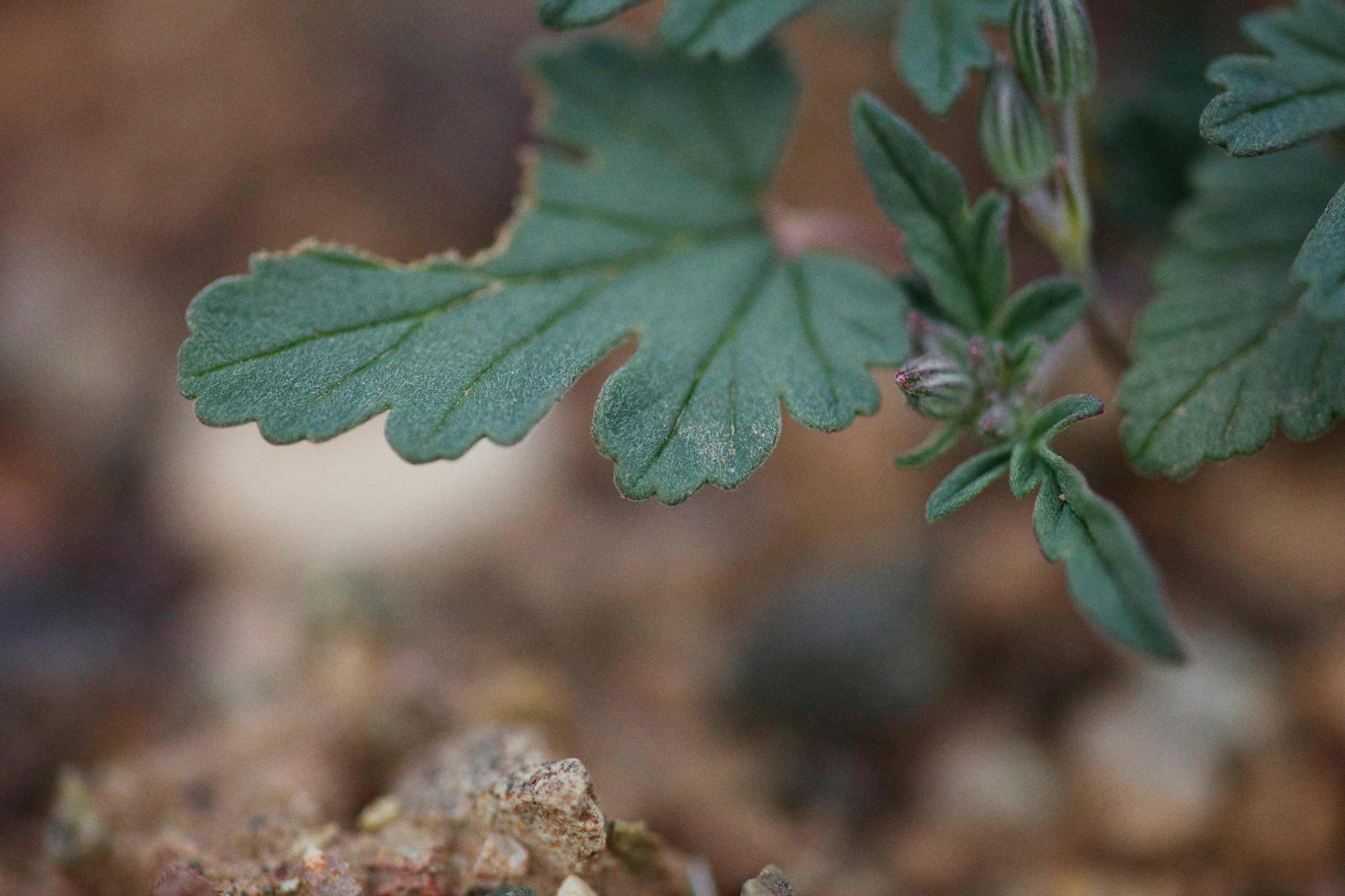 Photo by alexeydemidov