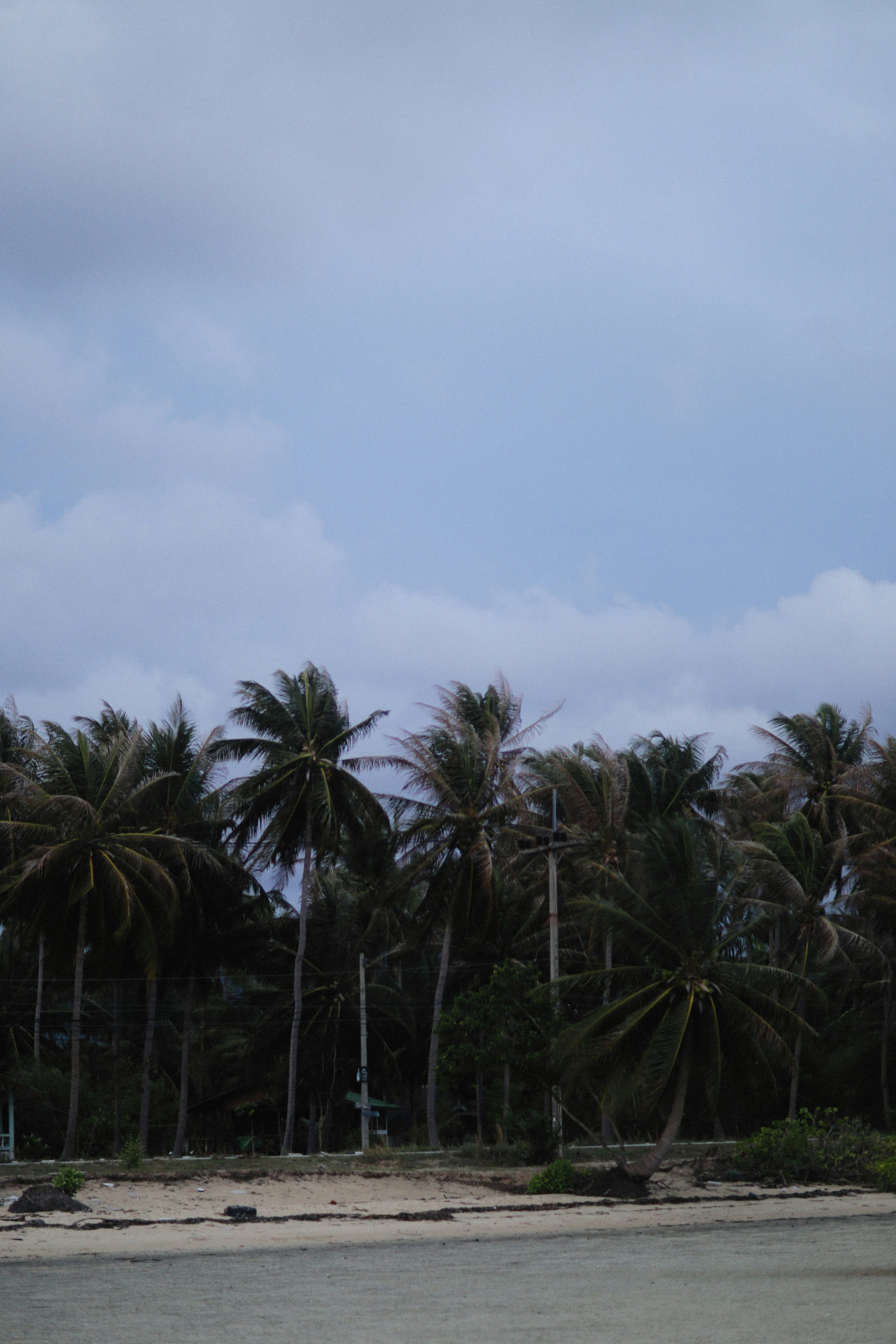 Photo by alexeydemidov