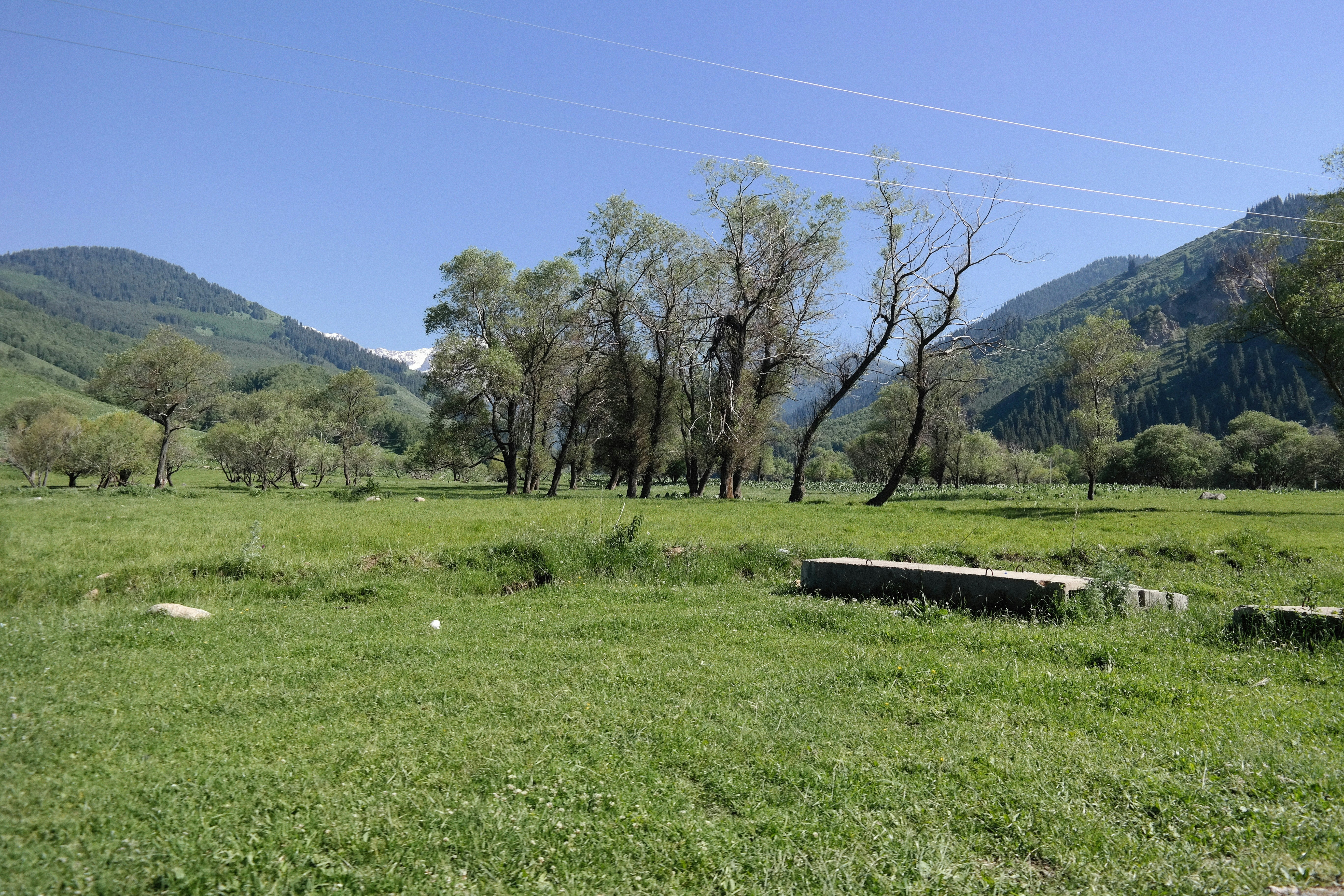 Photo by alexeydemidov