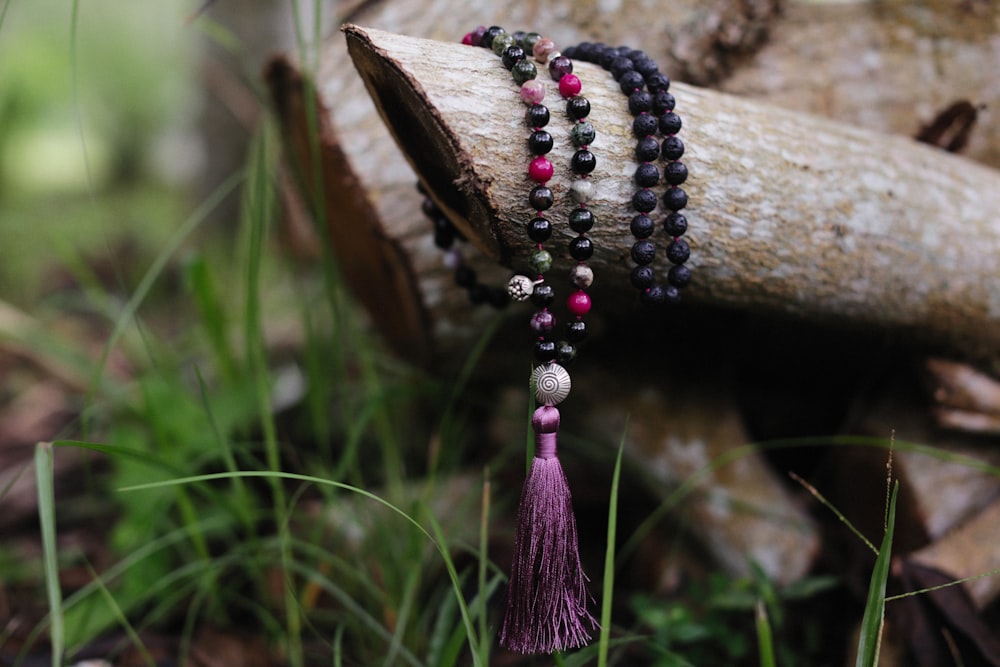 a close up of a bracelet on a tree branch