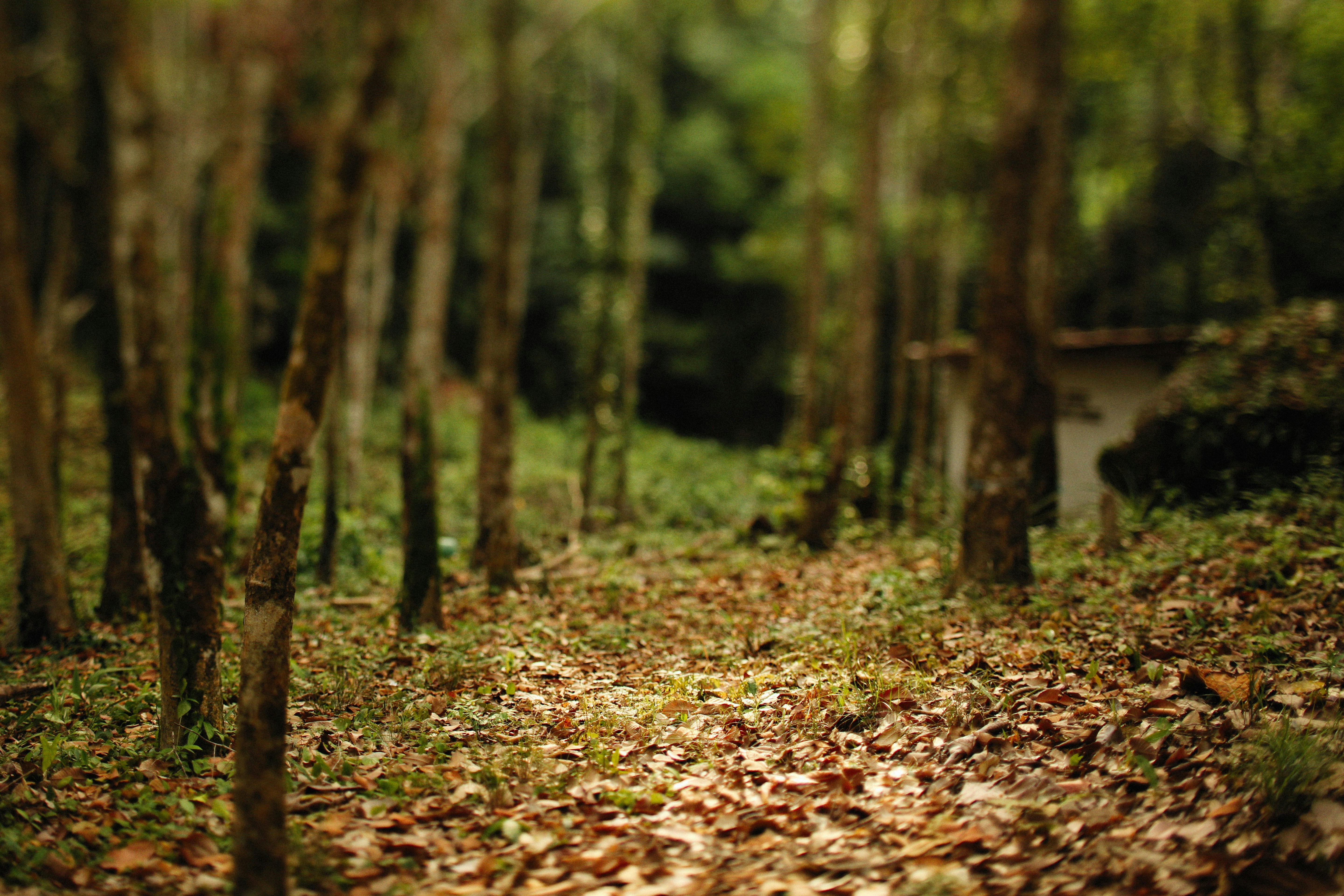 Photo by alexeydemidov