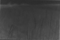 Abstract 3D texture in soft gray tones, adding depth and sophistication to a digital interface.