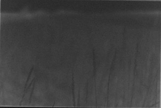 Abstract 3D texture in soft gray tones, adding depth and sophistication to a digital interface.