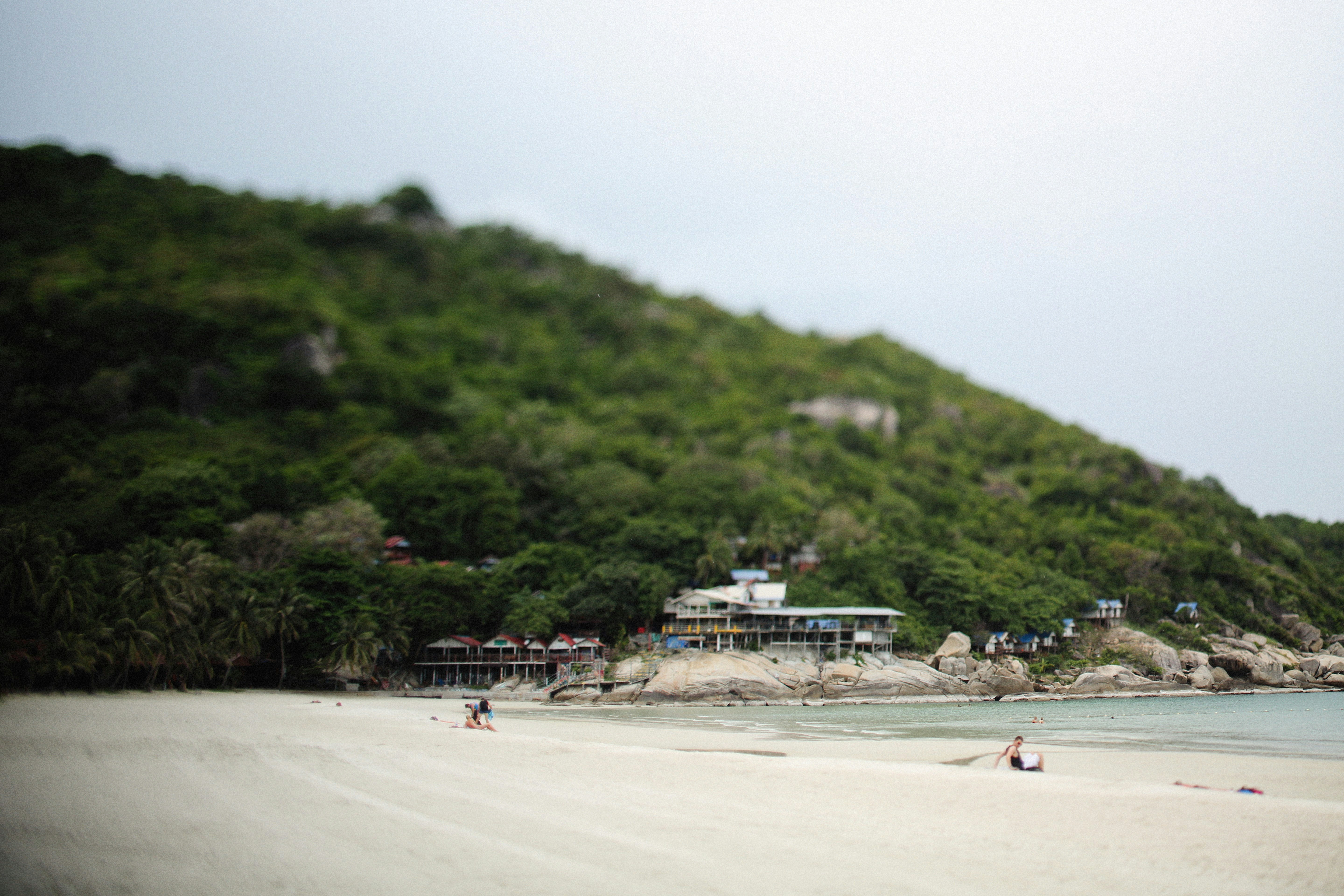 Photo by alexeydemidov