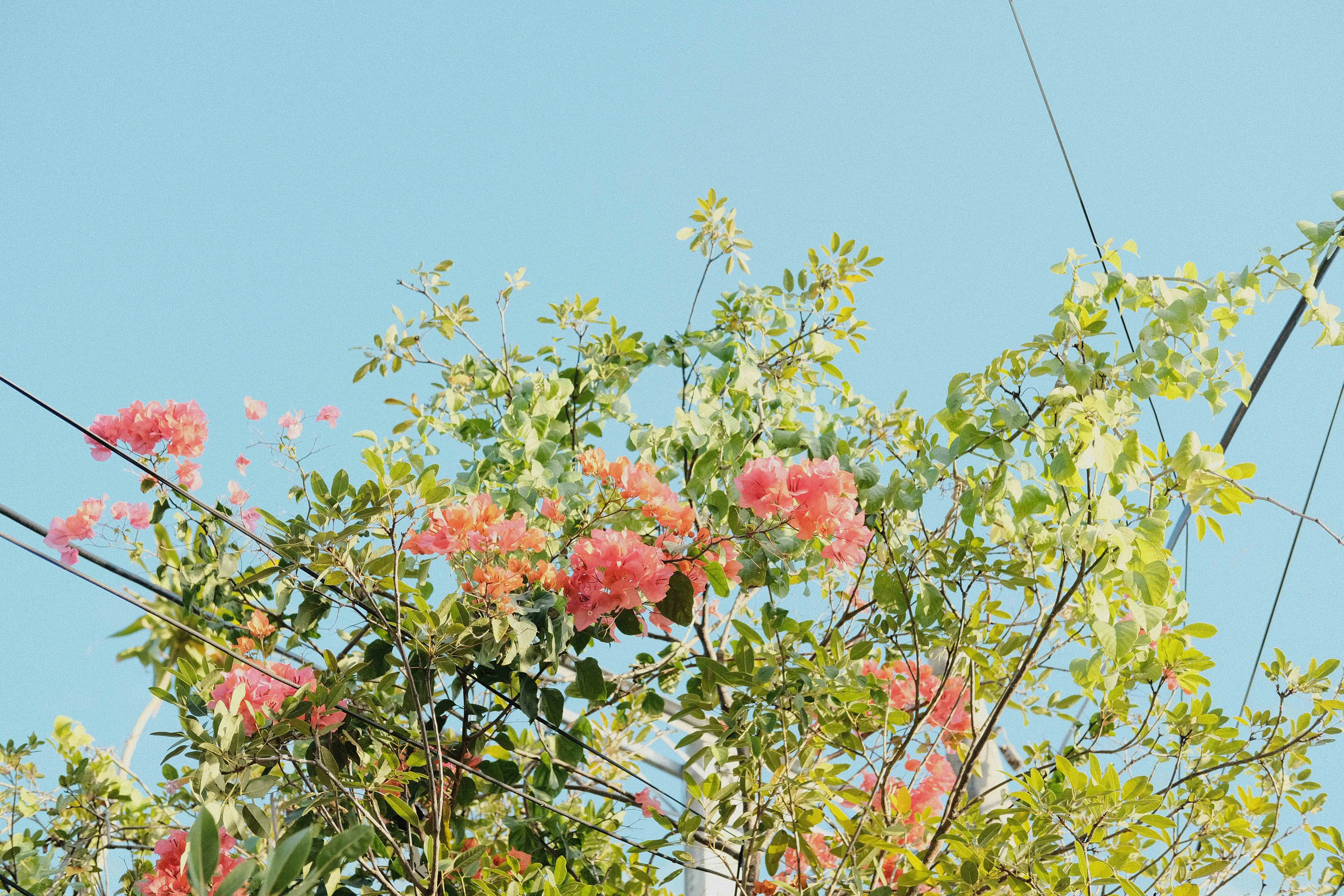 Photo by luisperezphoto