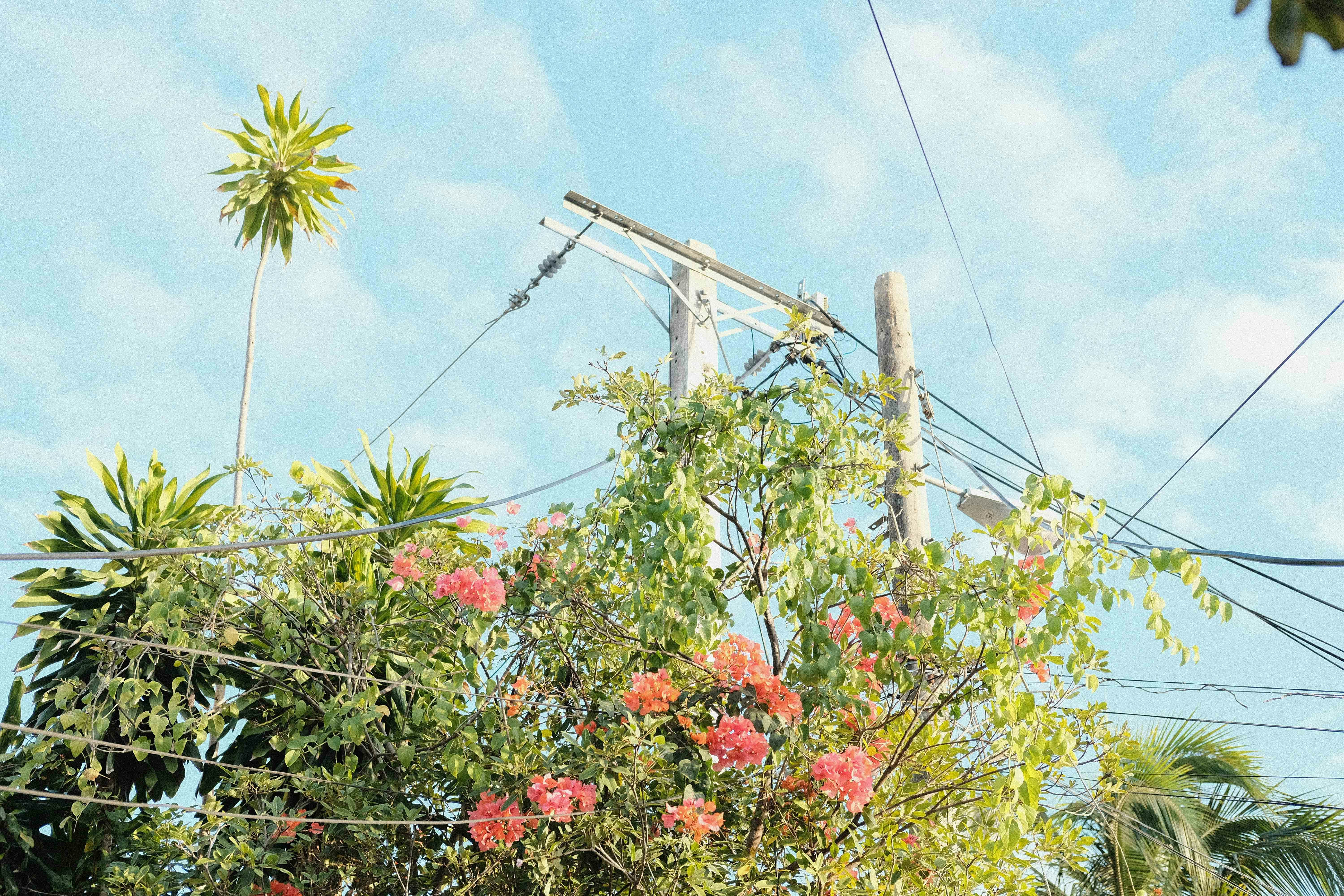 Photo by luisperezphoto