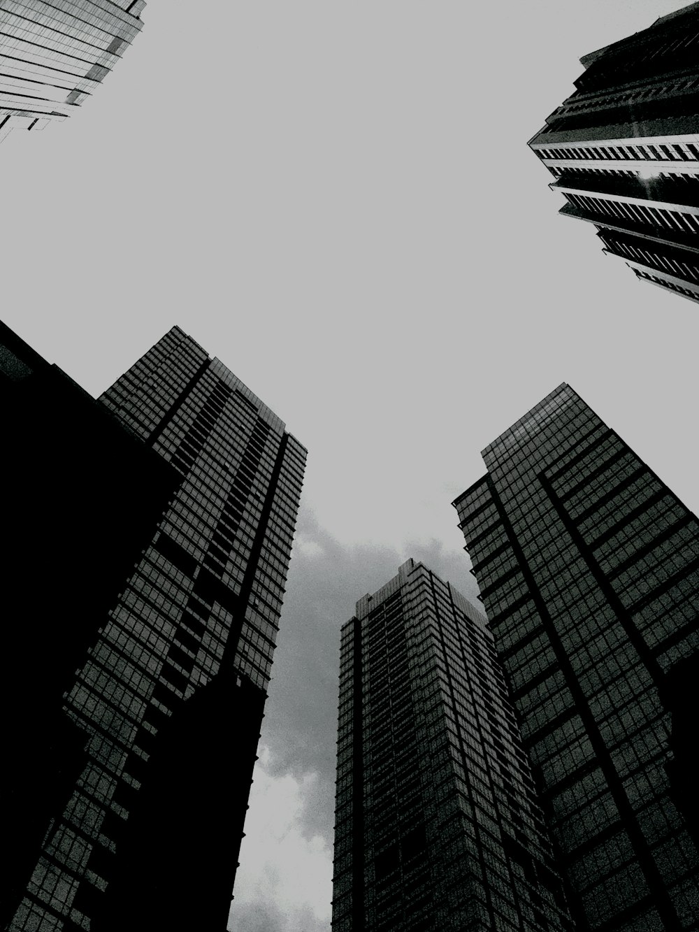 a black and white photo of tall buildings