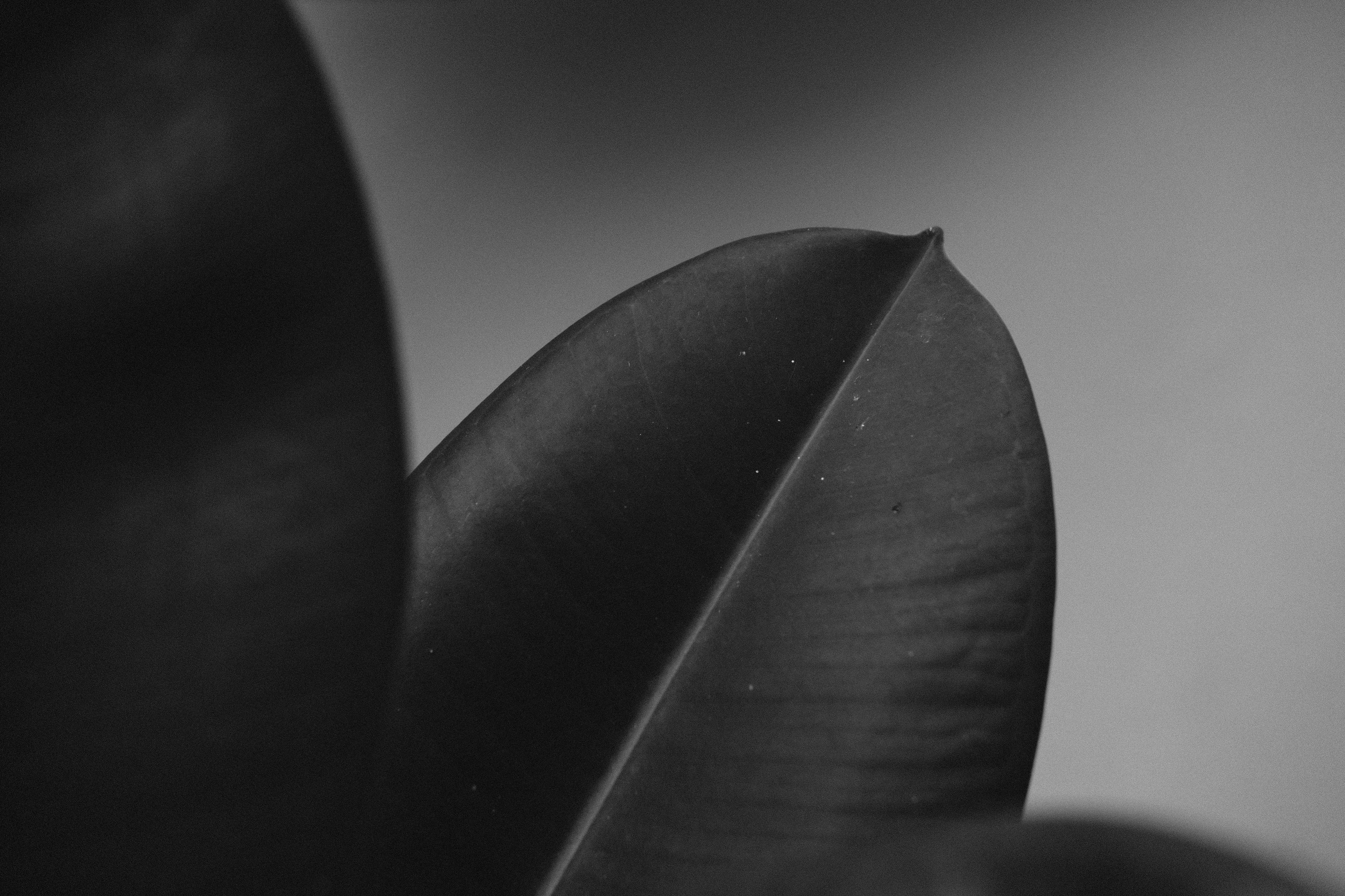 Photo by luisperezphoto