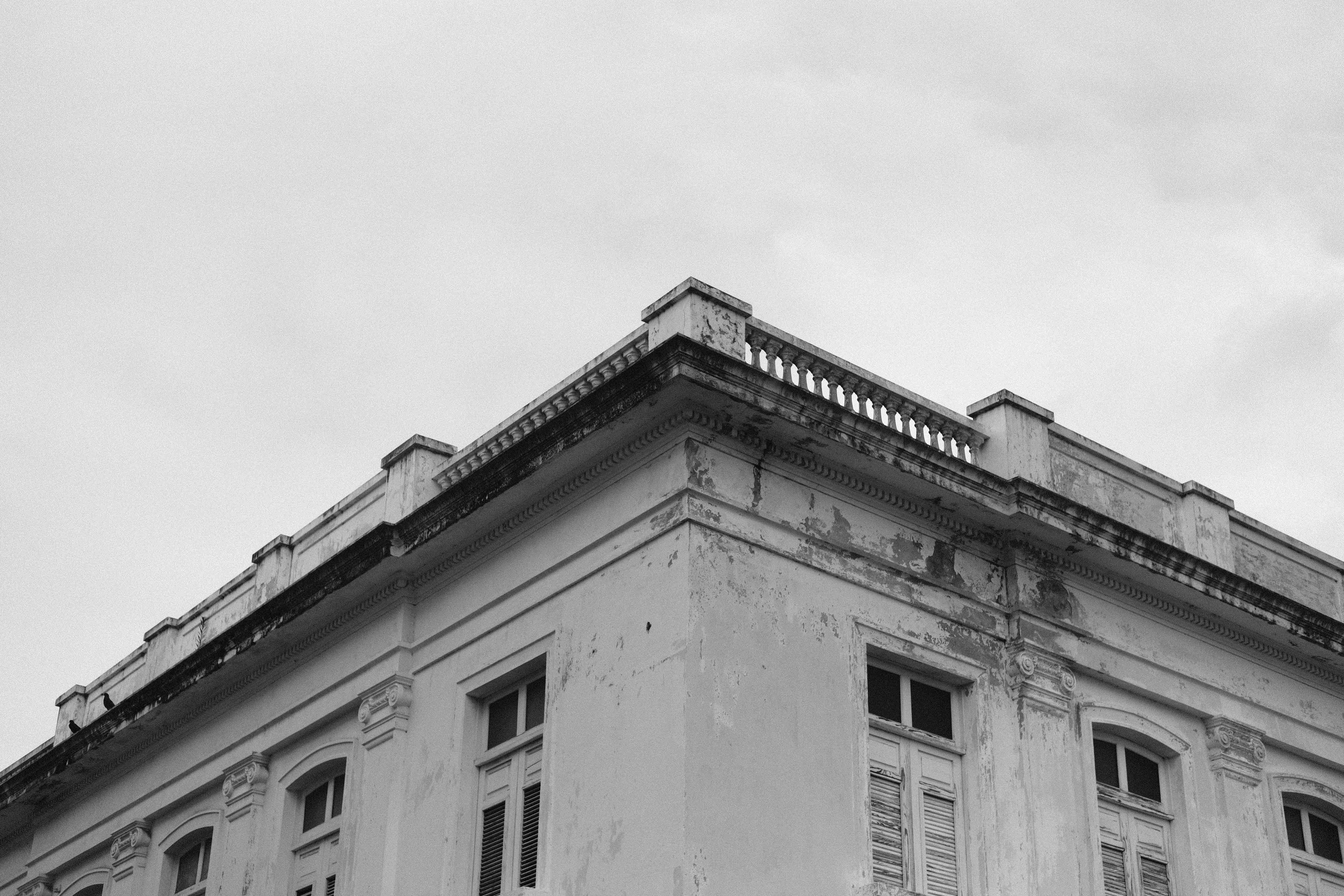 Photo by luisperezphoto