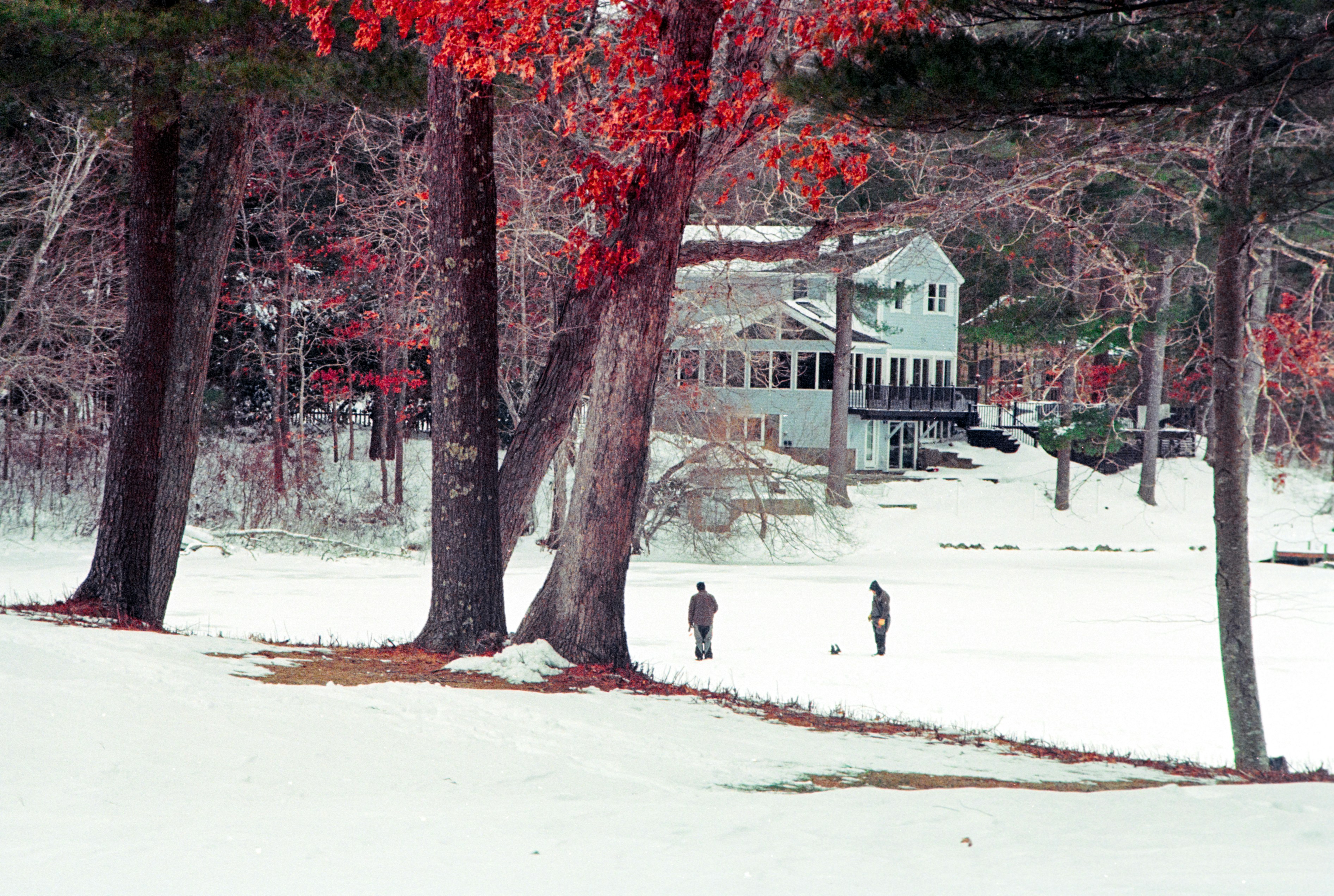 Ice House Park
