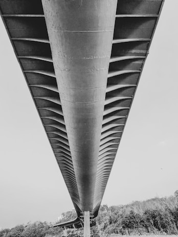 A symmetrical perspective of the underside of a large concrete bridge, emphasizing the structural design and intricacies of its support beams. The bridge spans across a natural landscape with trees visible beneath.