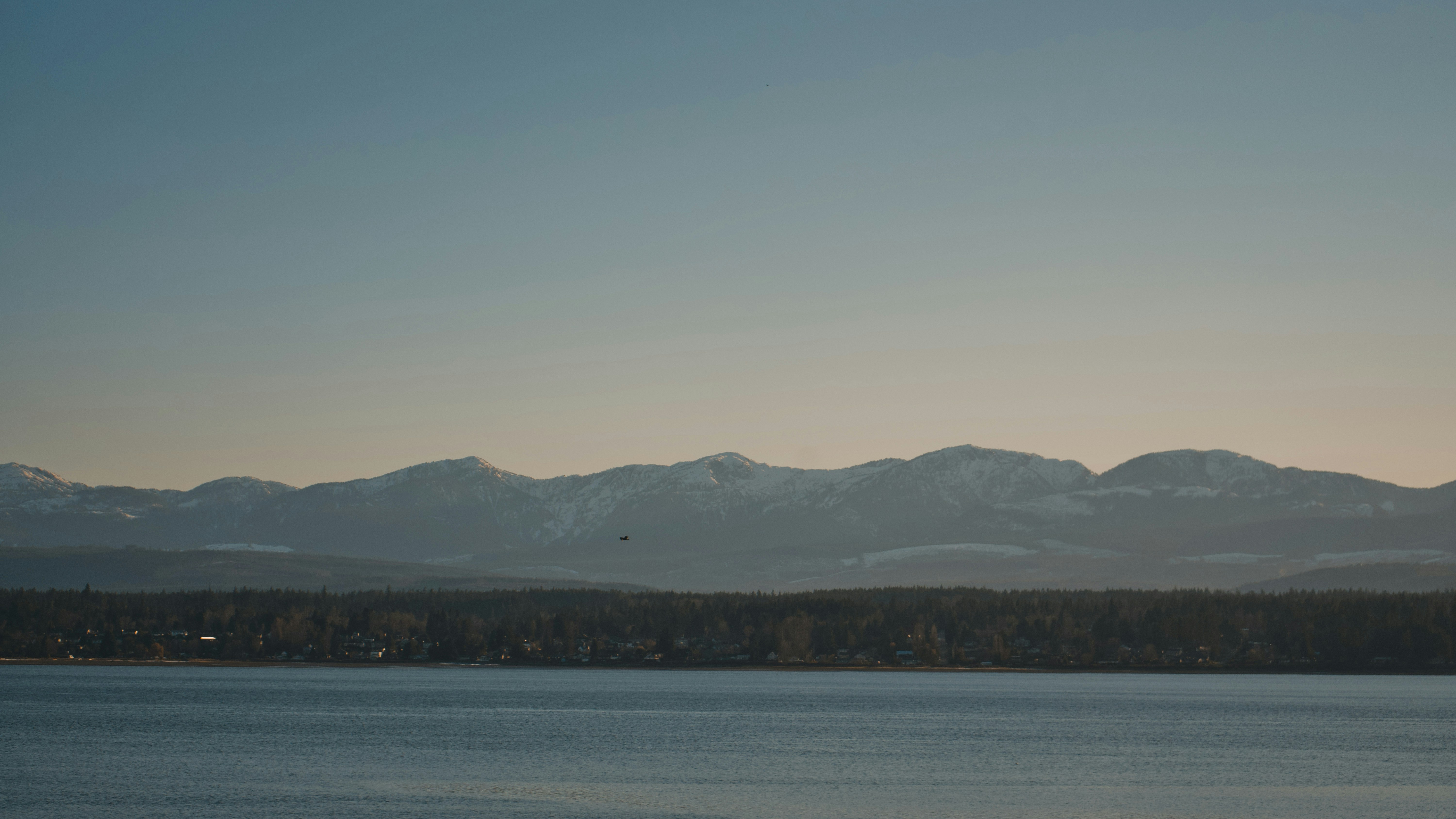 Photo by colefreeman