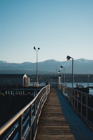 Comox marina with boats and ocean views
