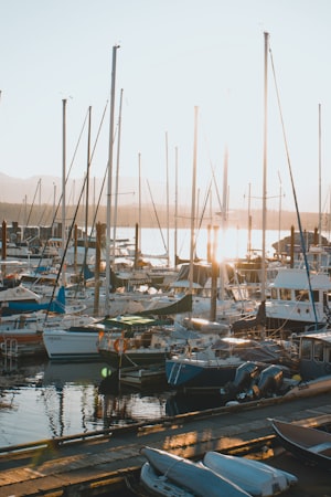 Downtown Courtenay streetscape with mountain backdrop