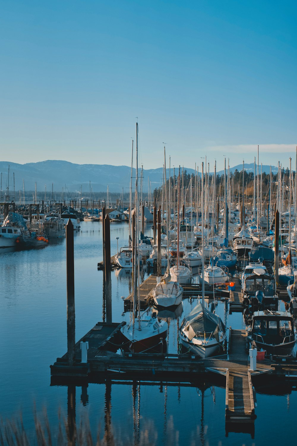 a harbor filled with lots of boats on a sunny day