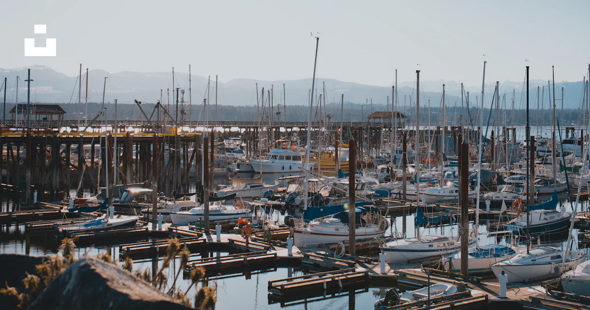 Comox Boat Ramp A harbor filled with lots of small boats photo – Free Comox valley ...