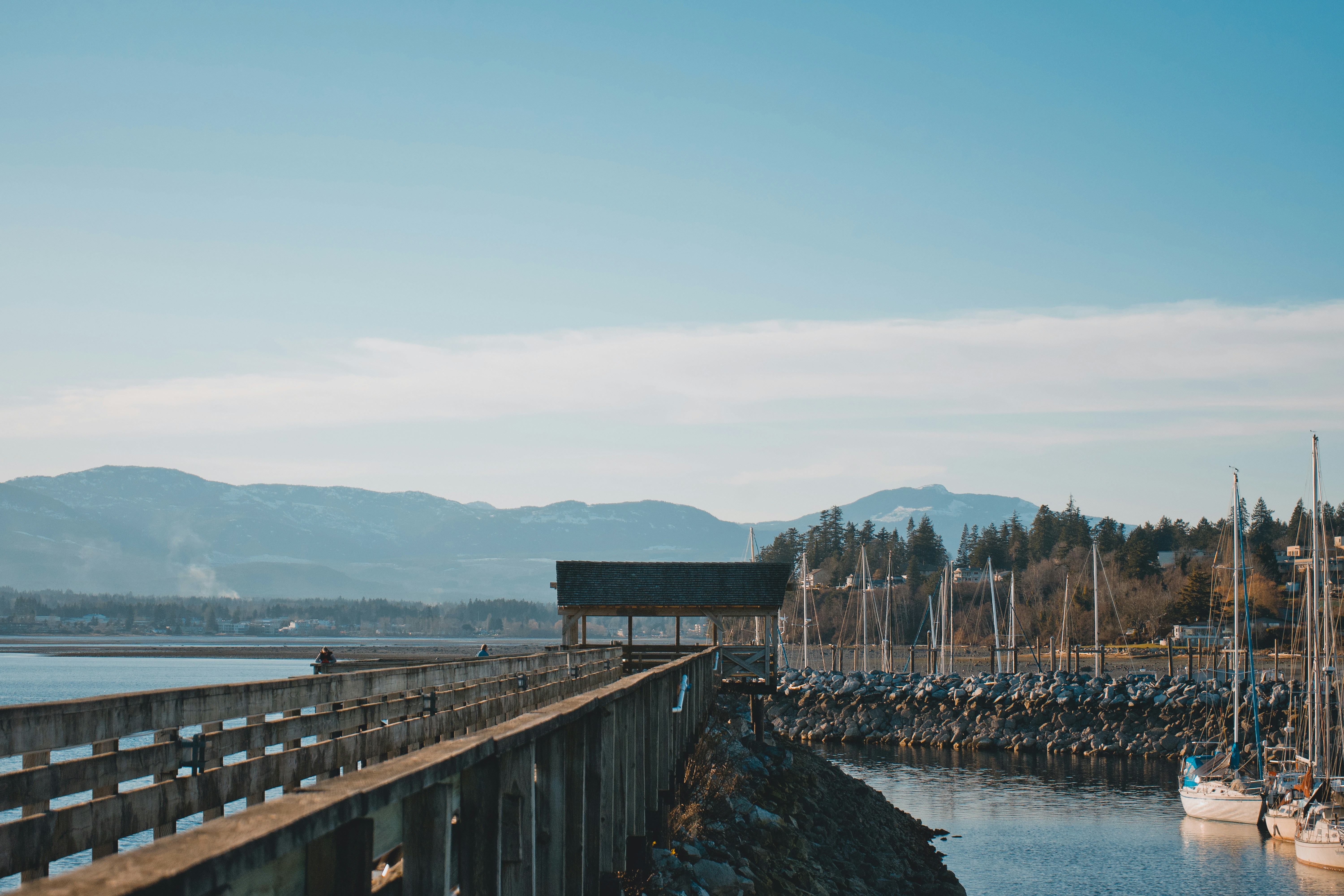 Photo by colefreeman