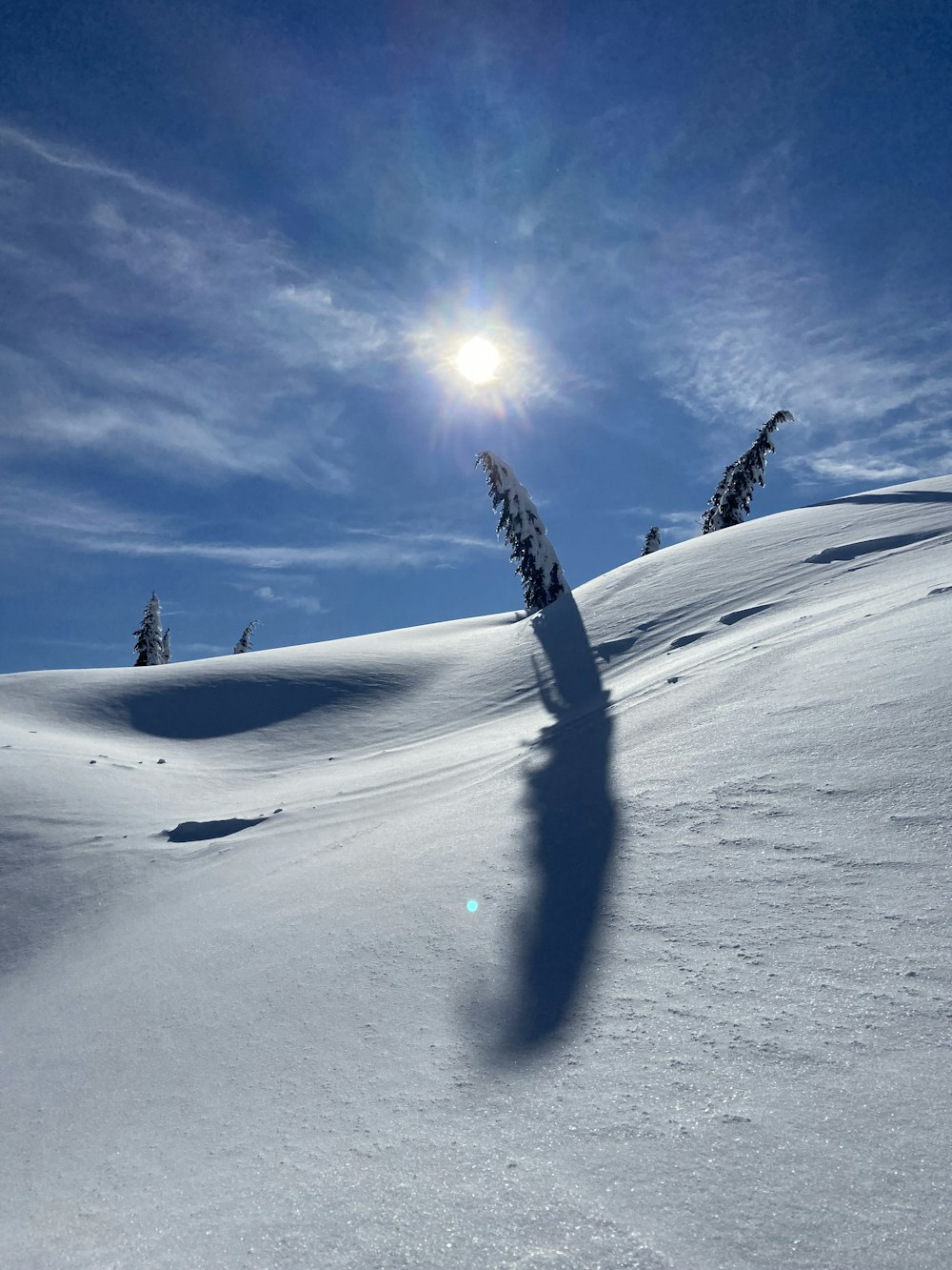 a shadow of a person on a snowboard in the snow